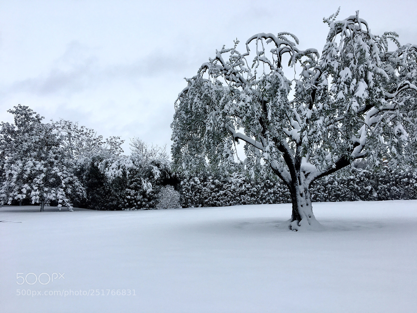 Apple iPhone 6s sample photo. A winter day in photography