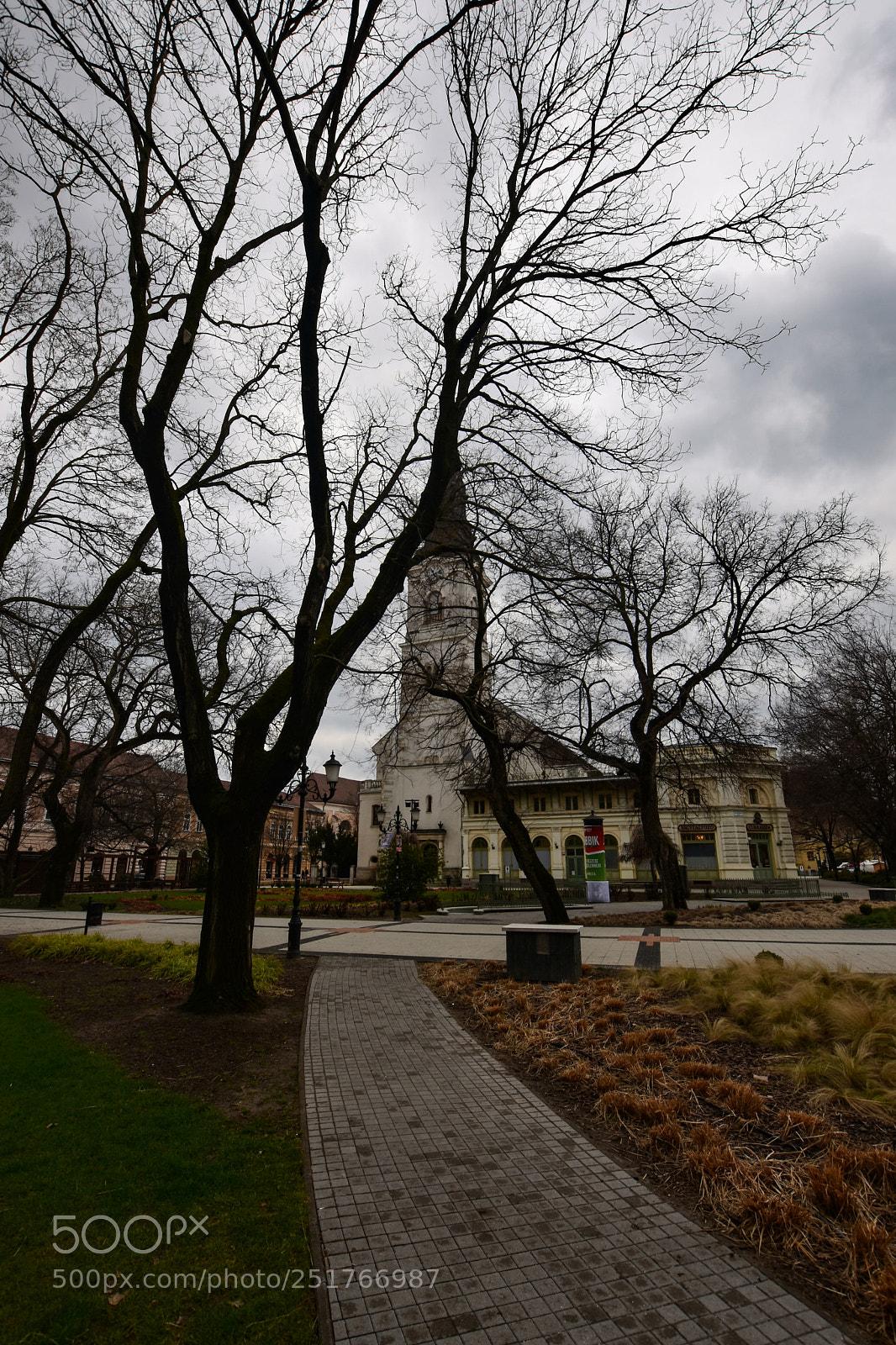 Nikon D7200 sample photo. Untitled photography