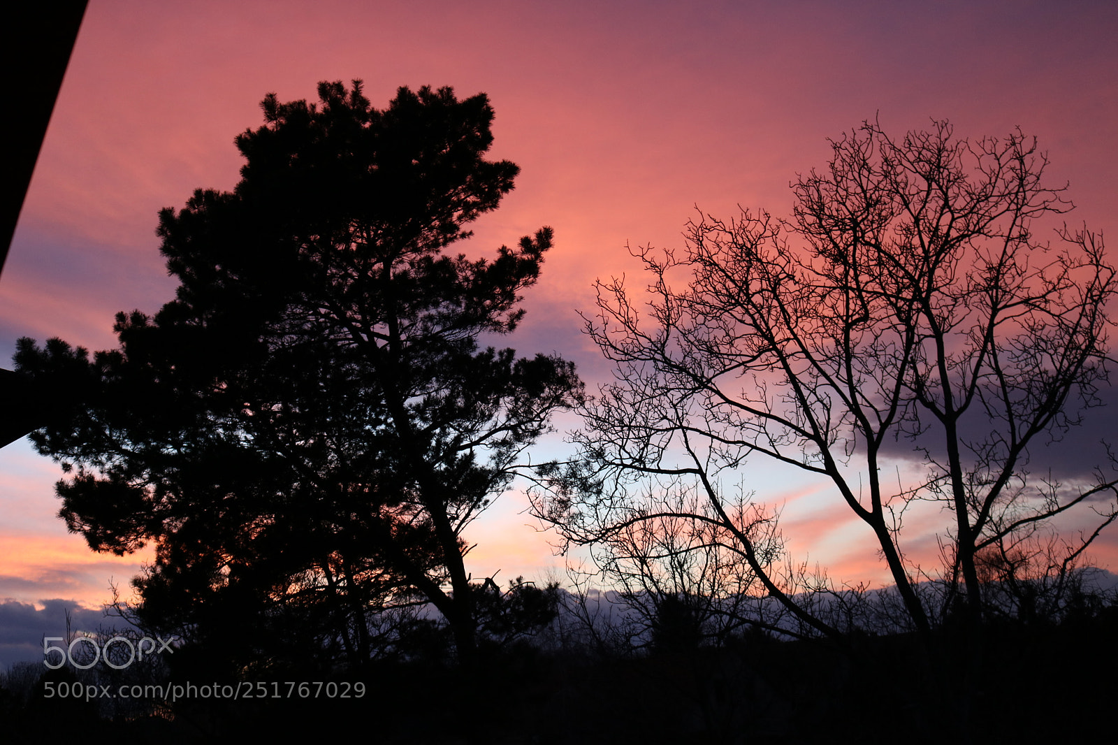 Canon EOS 750D (EOS Rebel T6i / EOS Kiss X8i) sample photo. Colorful sunday photography