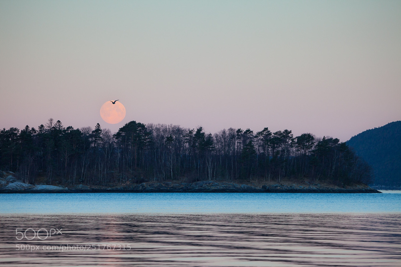 Canon EOS 5D Mark II sample photo. Full moon! photography