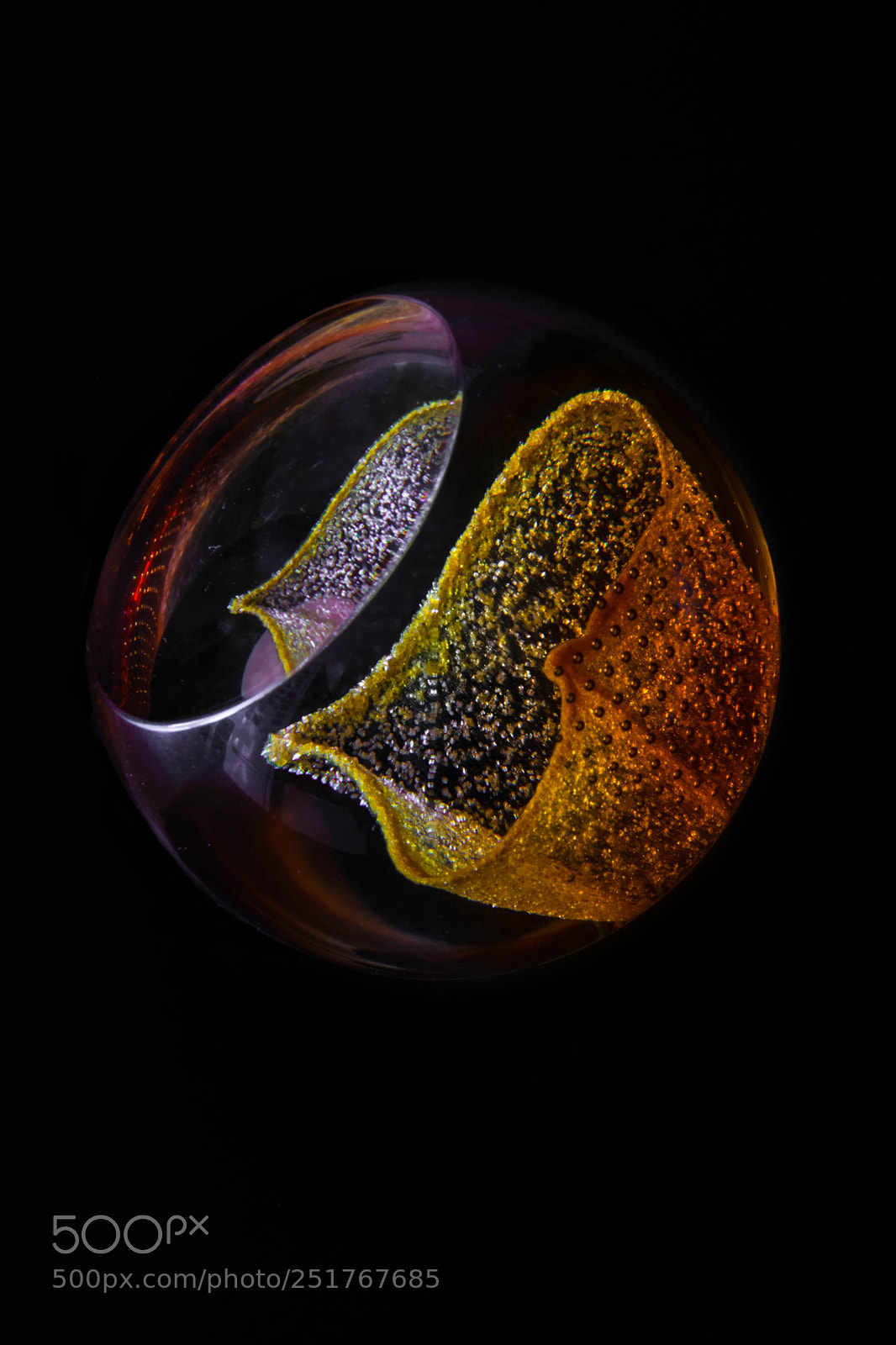 Nikon D5300 sample photo. Paperweight photography