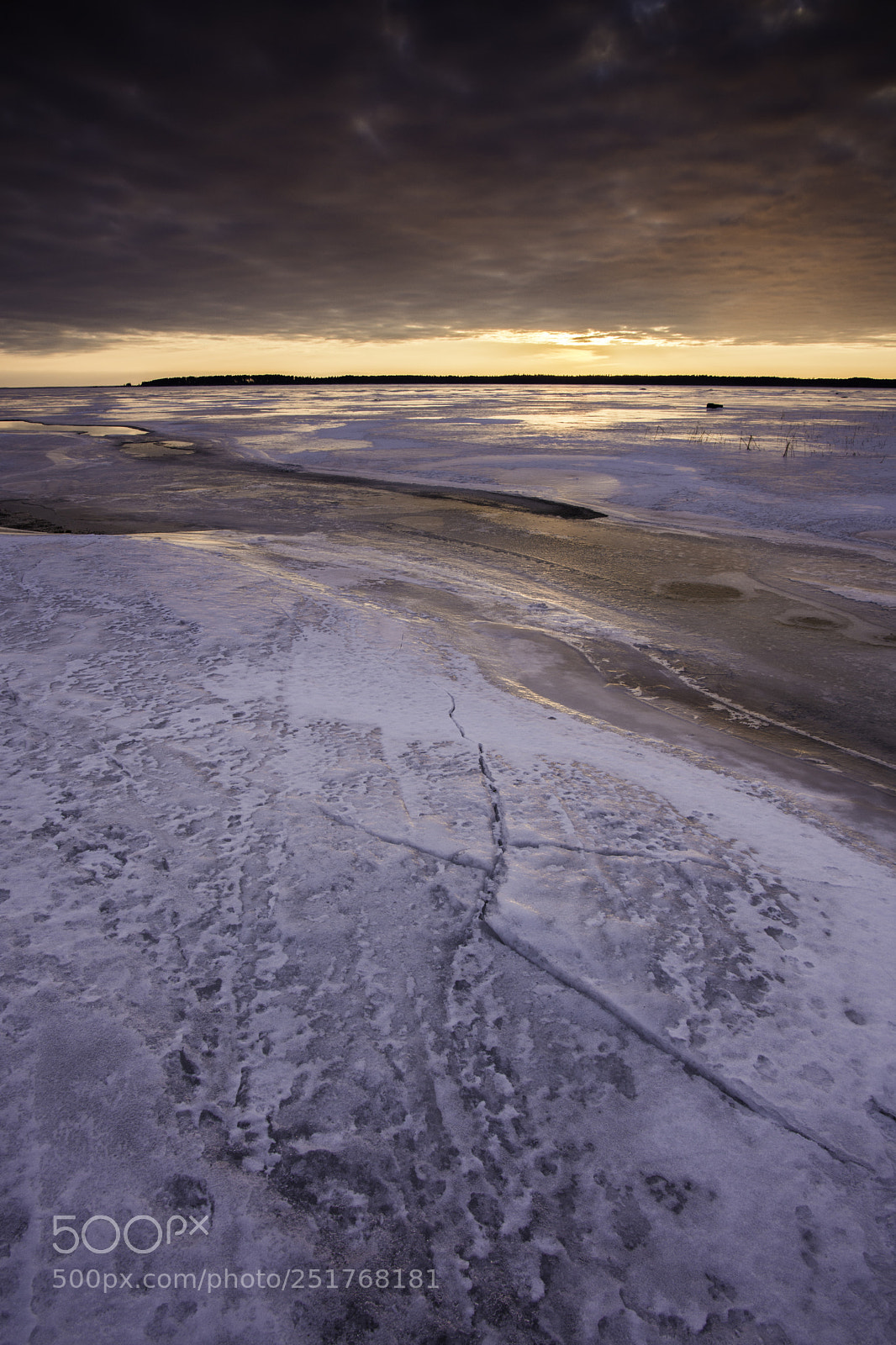 Nikon D7200 sample photo. Icy. photography