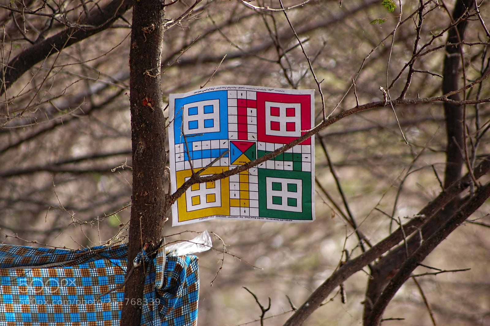 Nikon D70s sample photo. Colors photography