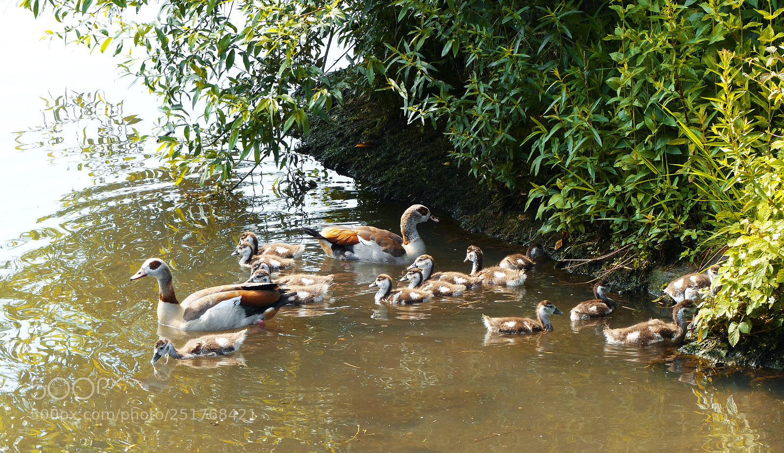 Panasonic Lumix DMC-FZ200 sample photo. Jpg photography