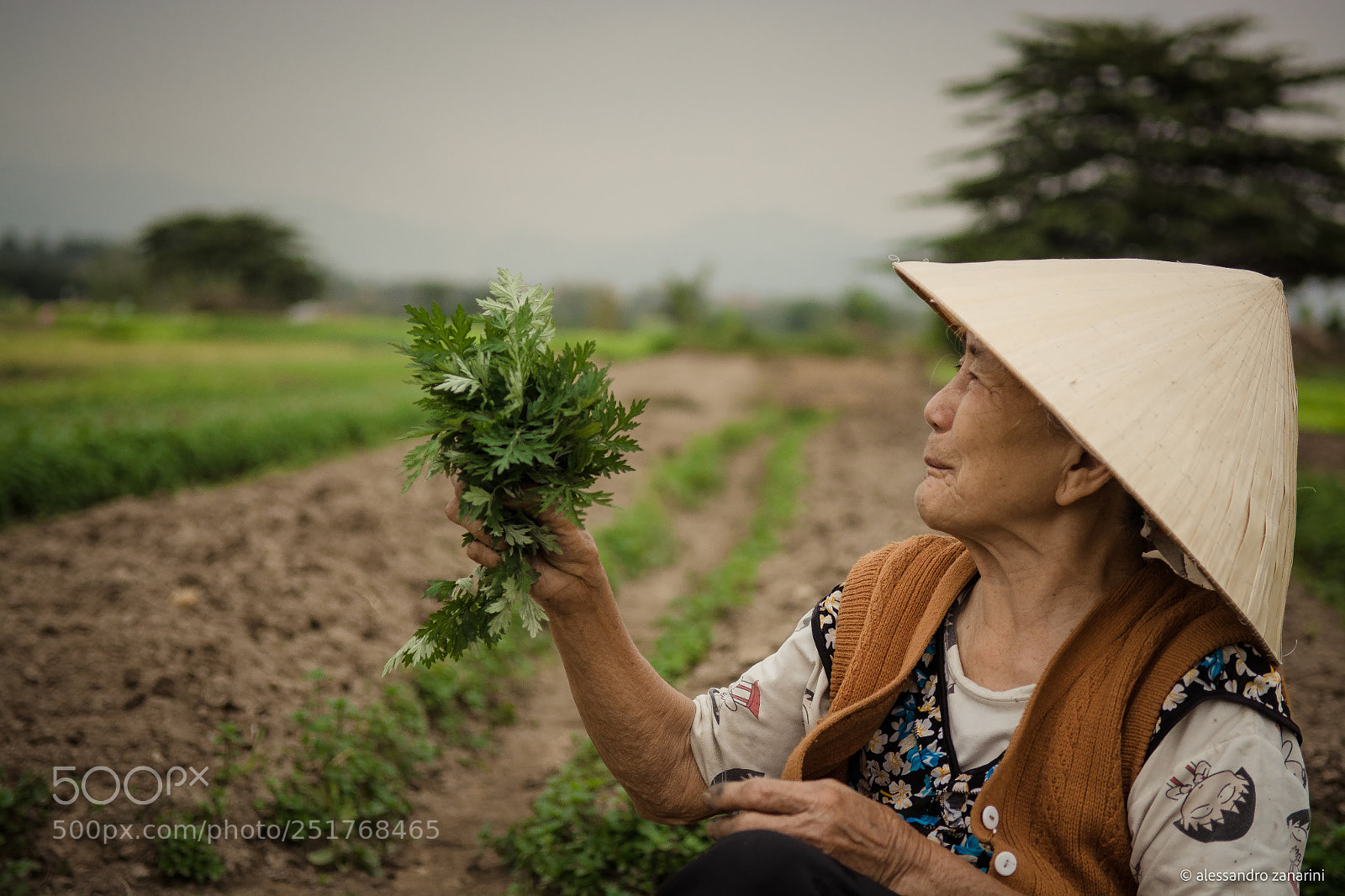 Nikon D7100 sample photo. Vietnamese old woman in photography