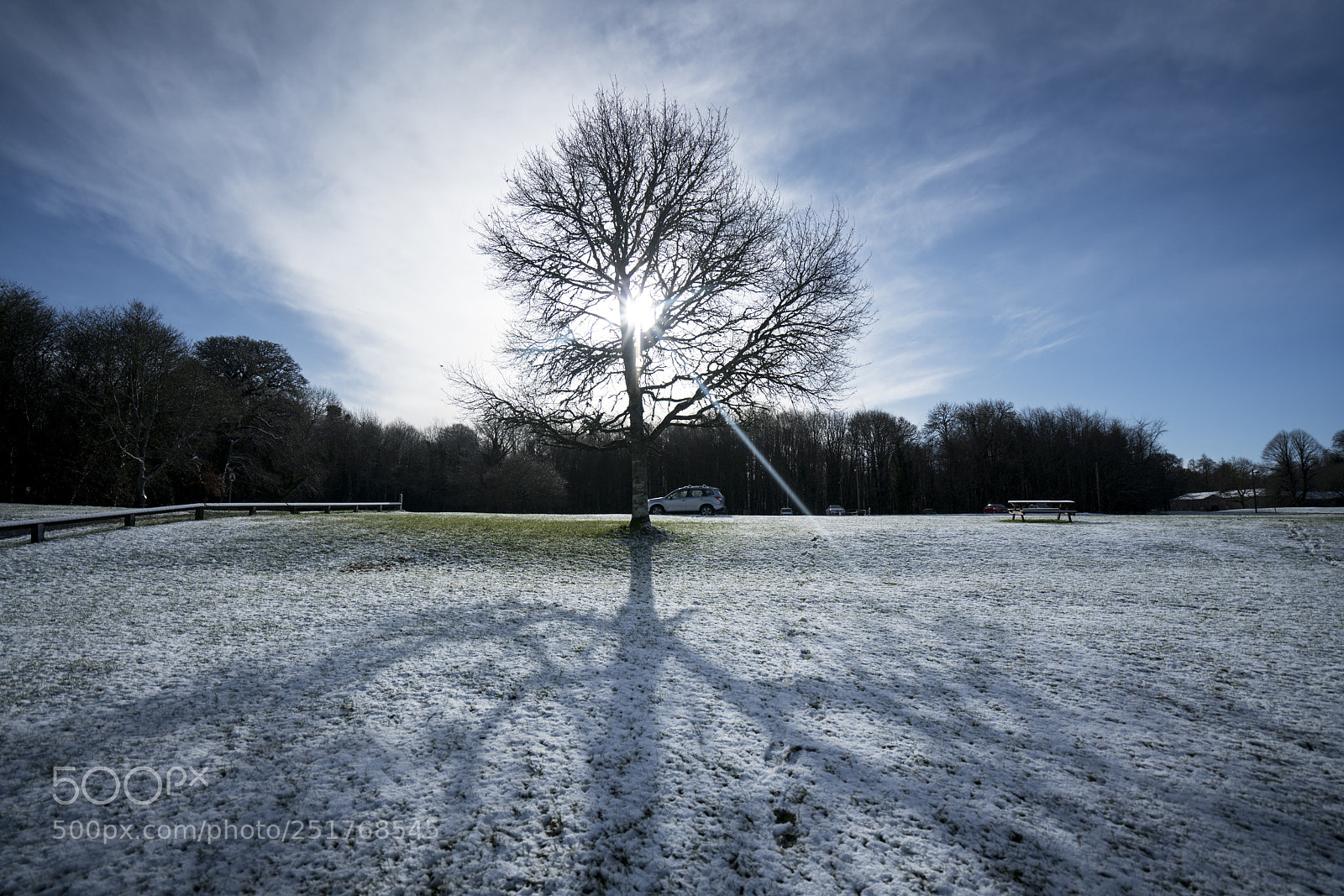 Sony a7R II sample photo. Snow light photography