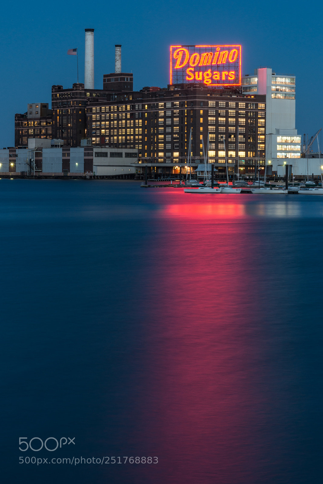 Nikon D800 sample photo. Domino reflection photography