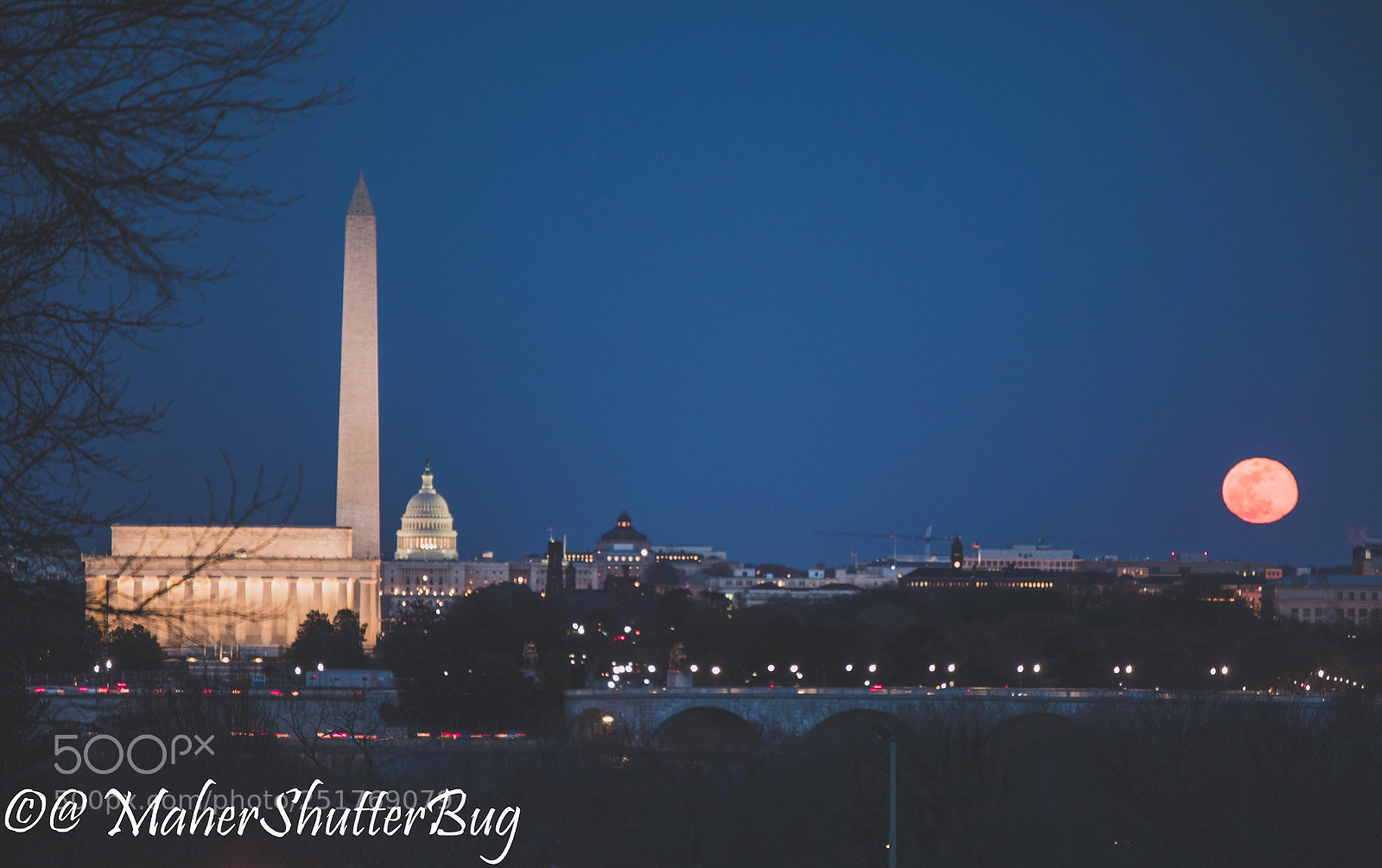 Canon EOS 5D Mark IV sample photo. A sight from arlington photography
