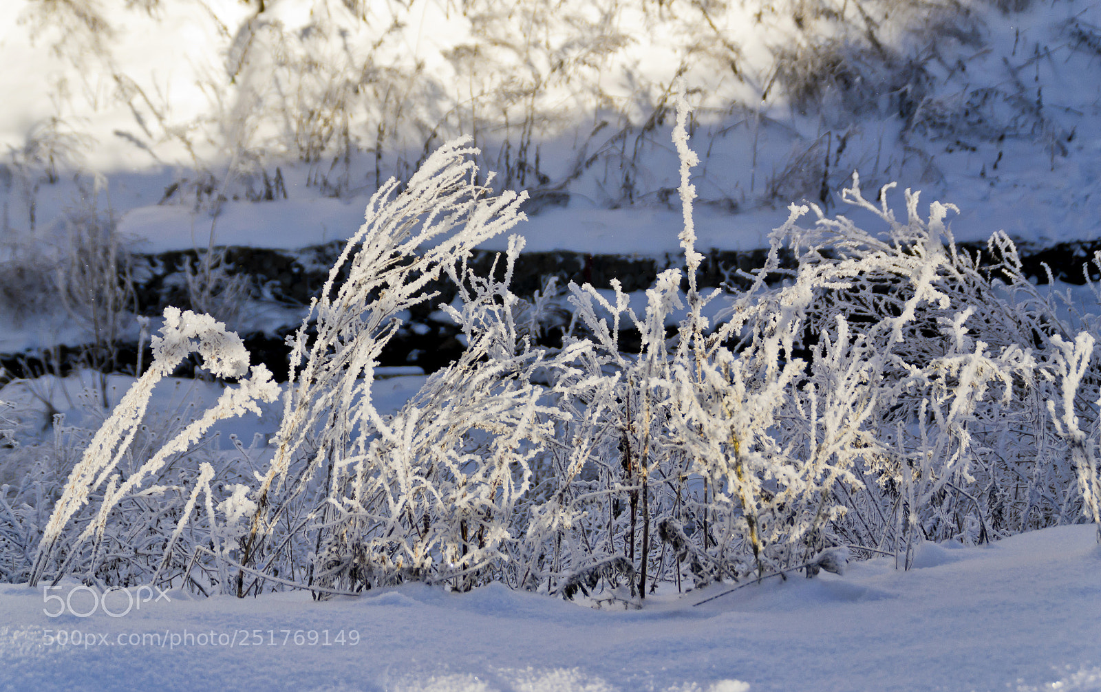 Nikon D3100 sample photo. Winter photography