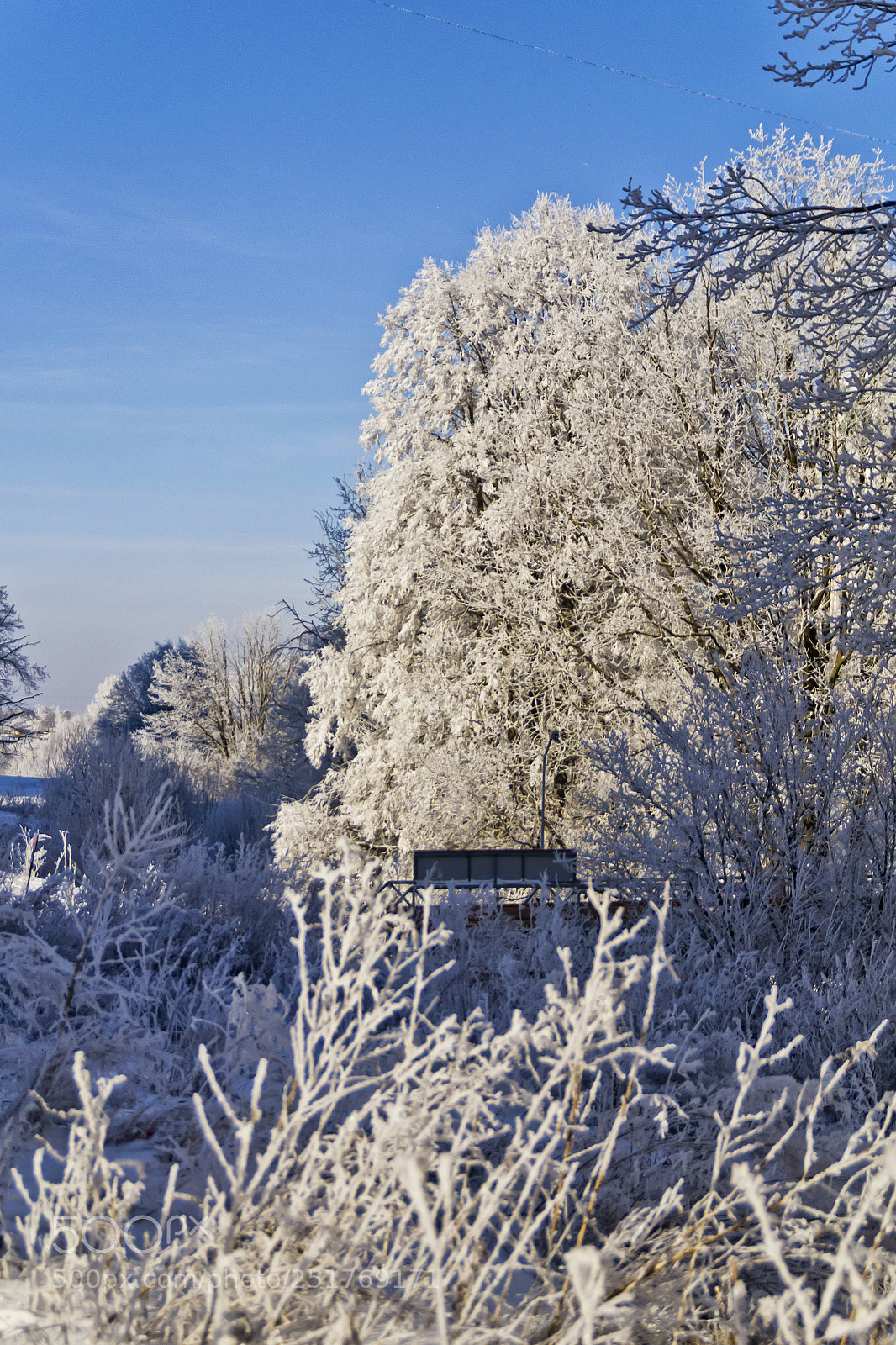 Nikon D3100 sample photo. Winter photography
