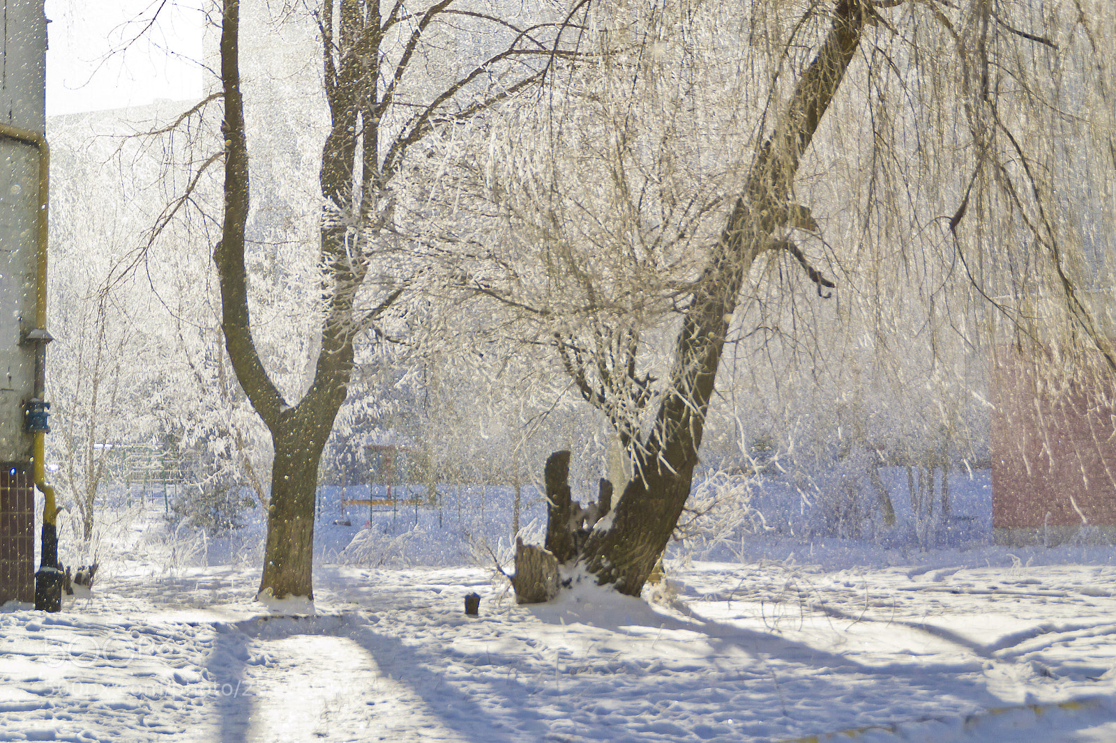 Nikon D3100 sample photo. Winter photography