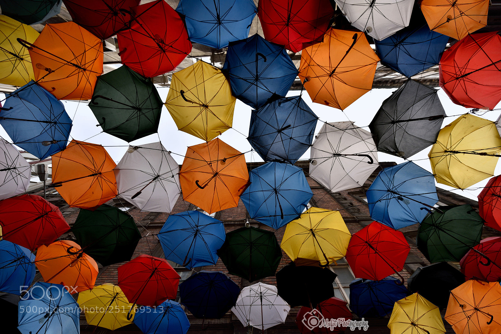 Nikon D810 sample photo. Colorful photography
