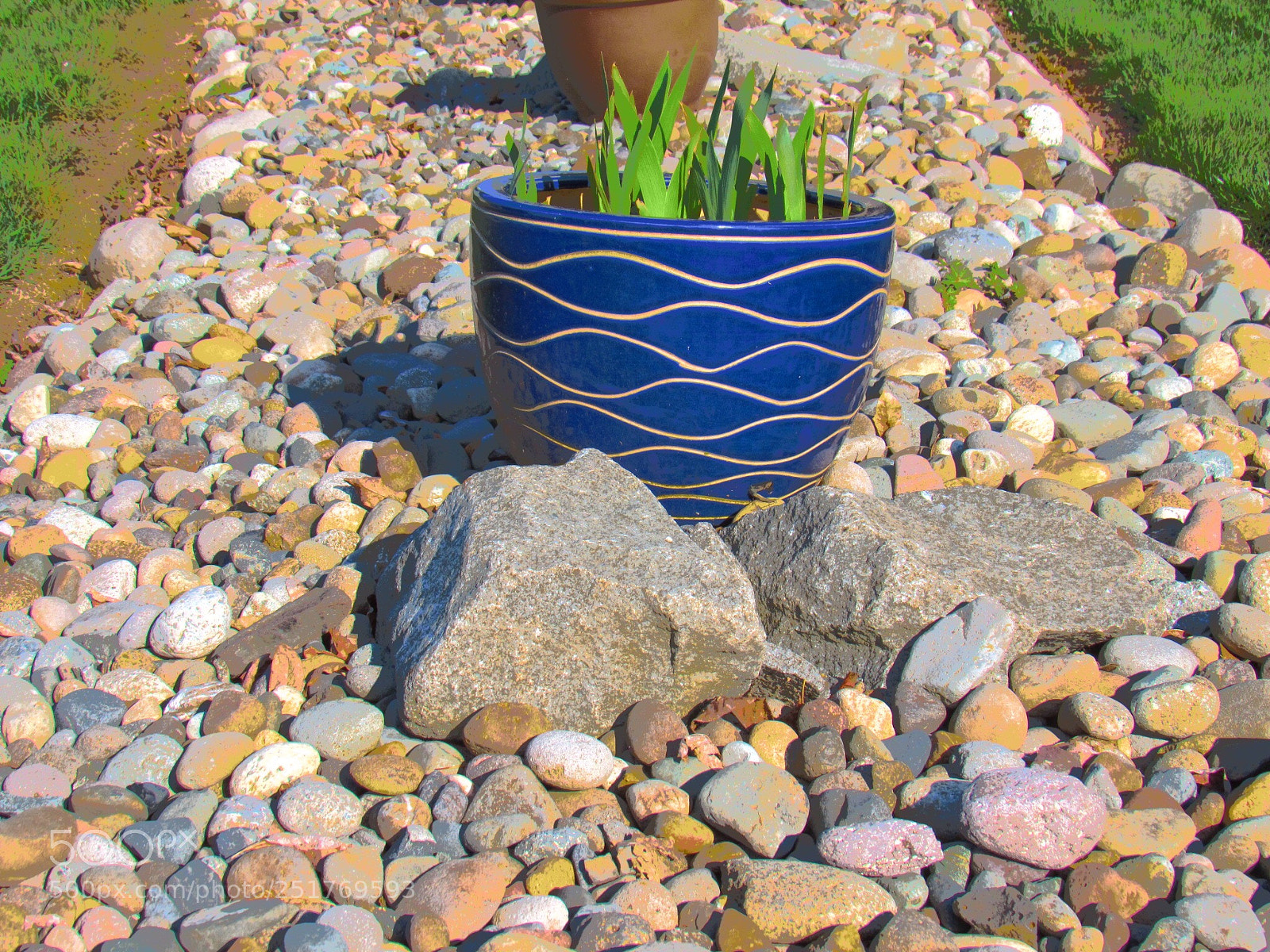 Canon PowerShot SX530 HS sample photo. Summer photography
