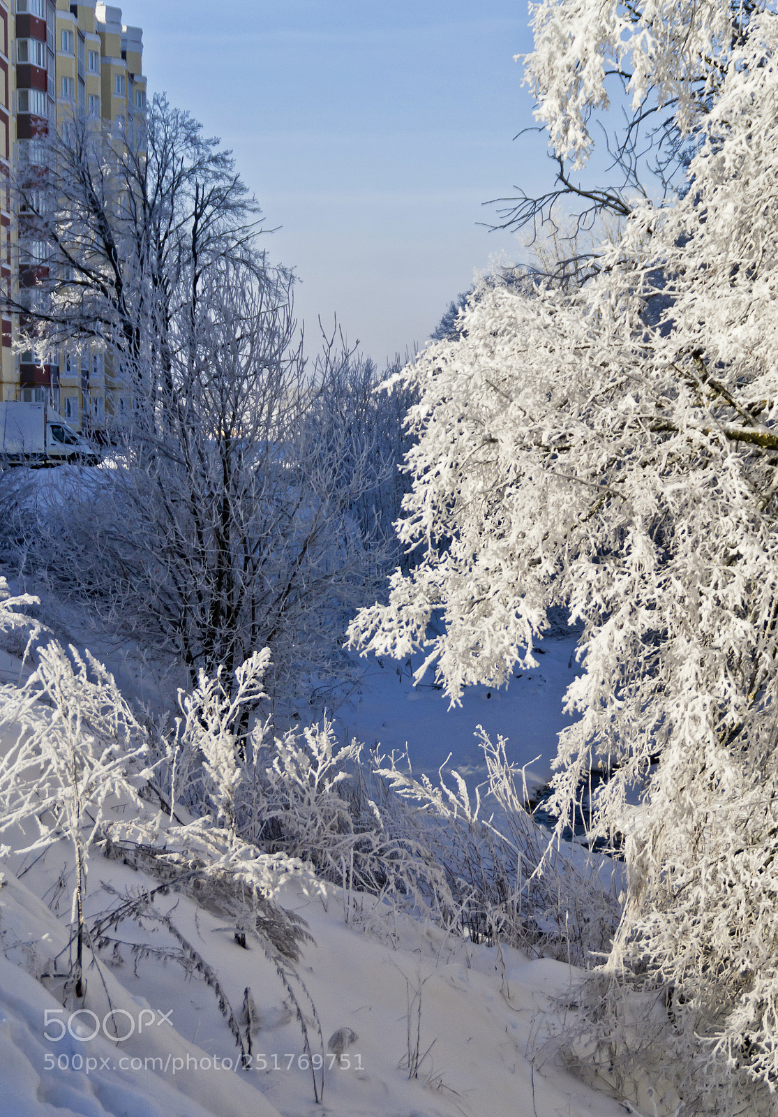 Nikon D3100 sample photo. Frost photography