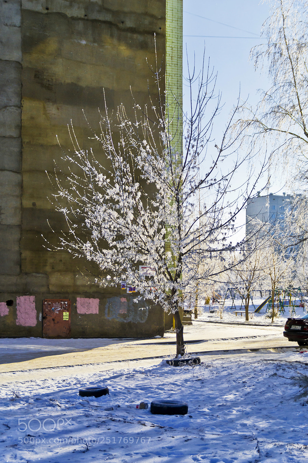 Nikon D3100 sample photo. Frost photography