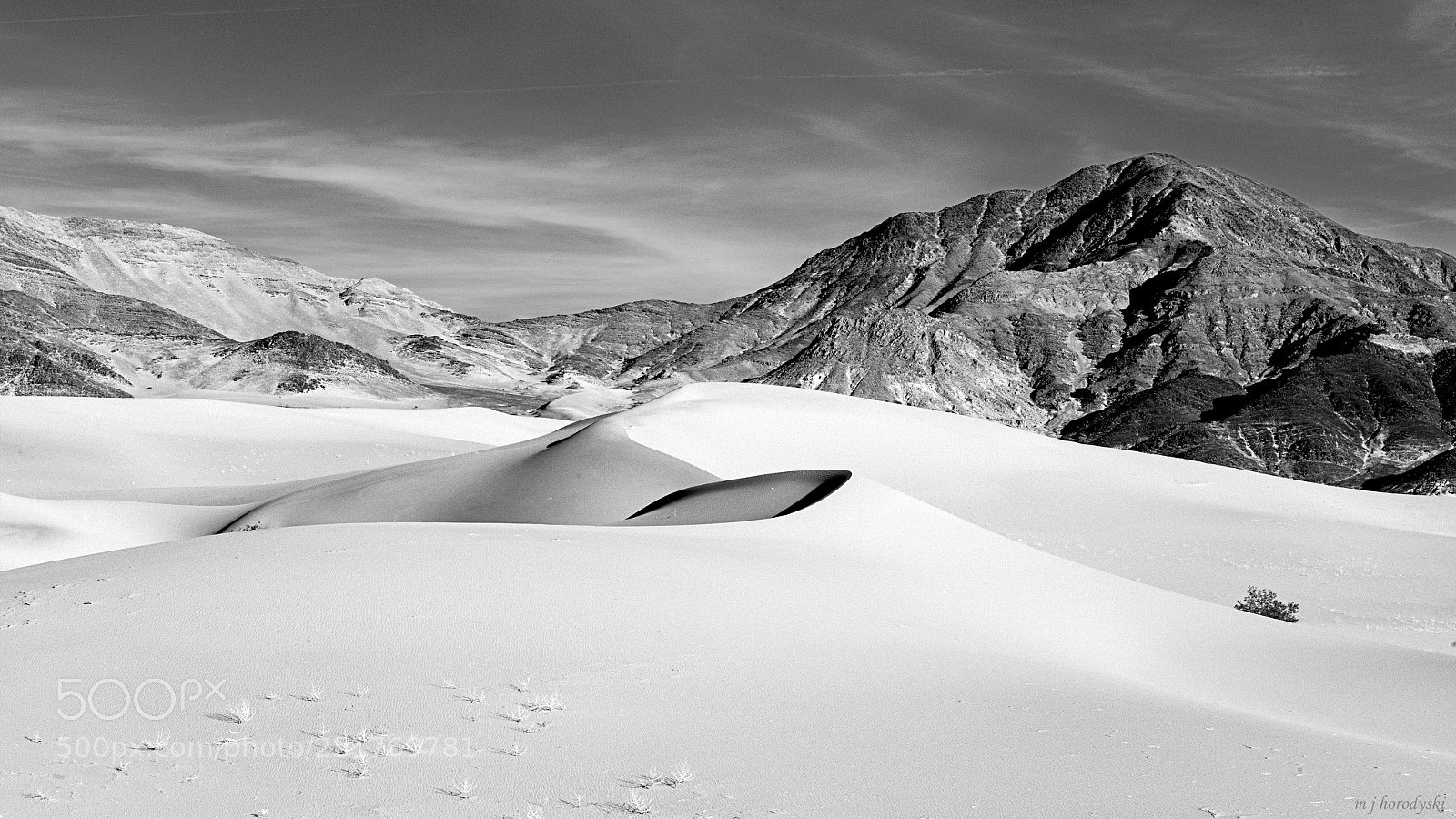 Nikon D850 sample photo. Dune 1549 photography