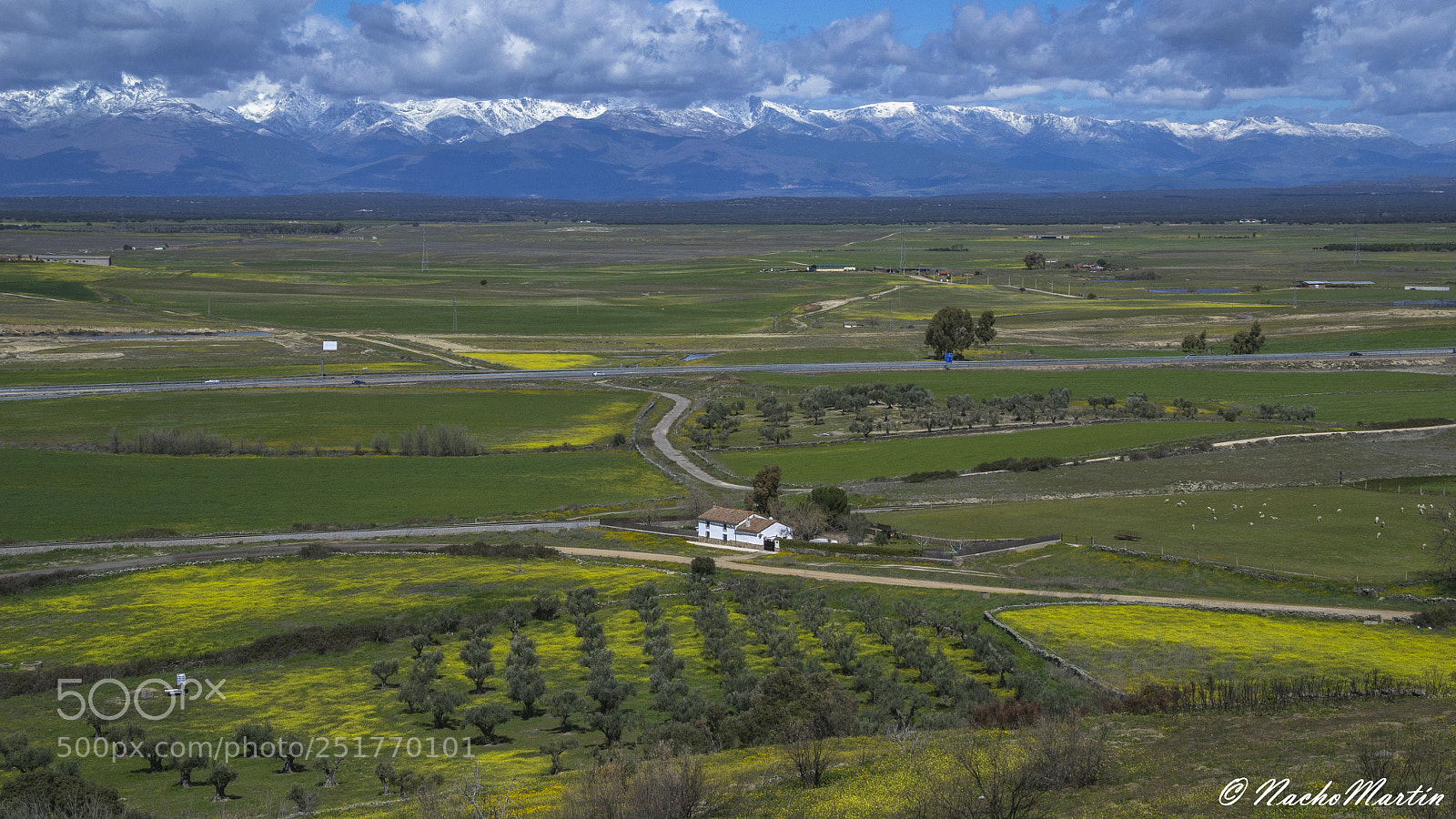 Nikon D3100 sample photo. Spring-winter photography