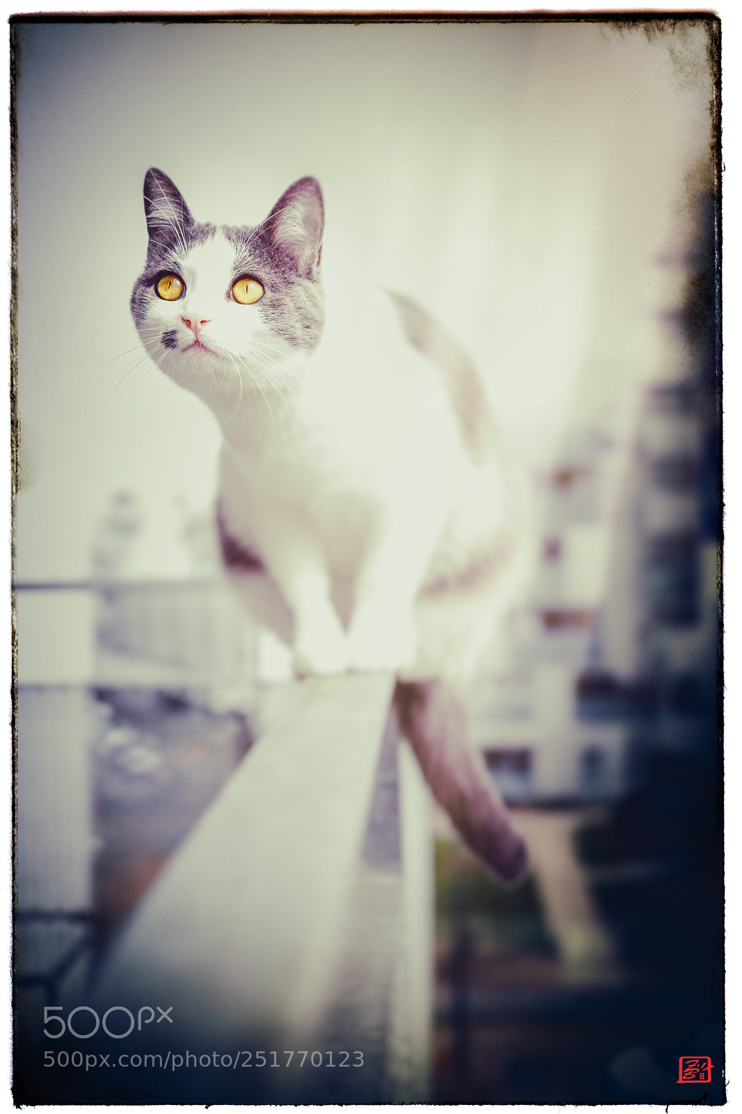 Canon EOS 5D Mark IV sample photo. Funambule photography