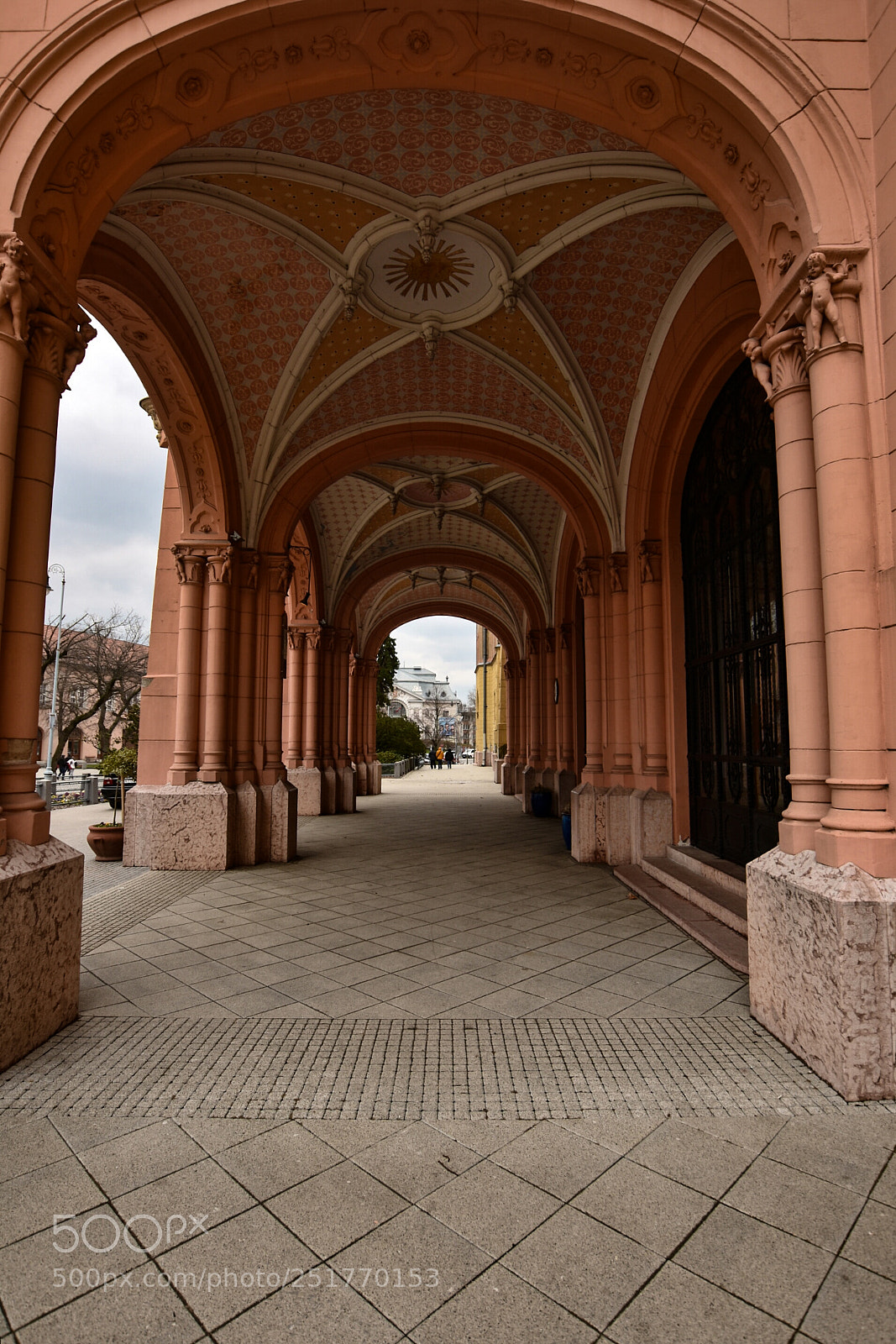 Nikon D7200 sample photo. Untitled photography