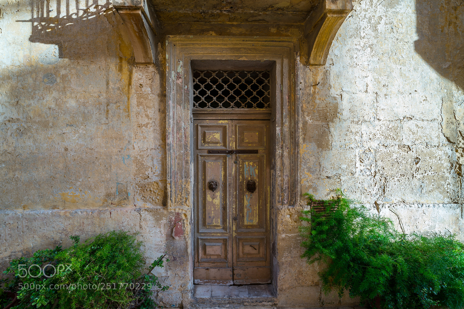 Sony a7R II sample photo. Fresh photography