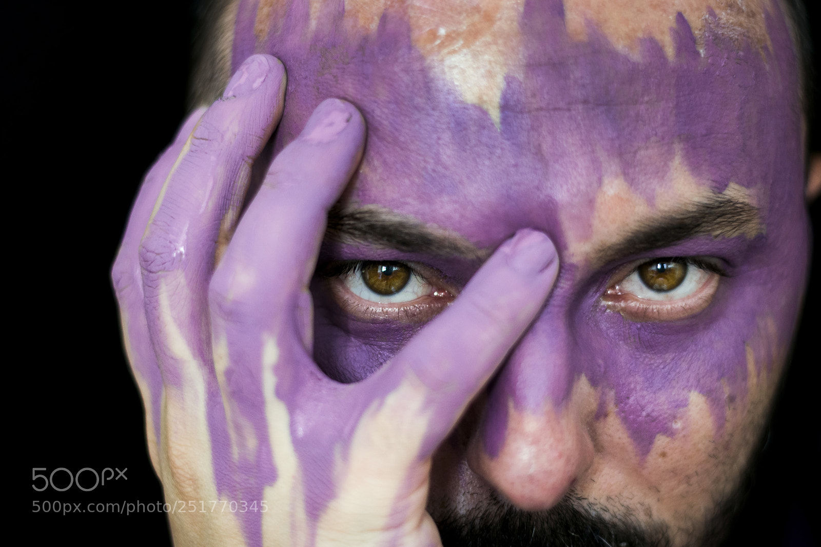 Nikon D3300 sample photo. Purples power photography