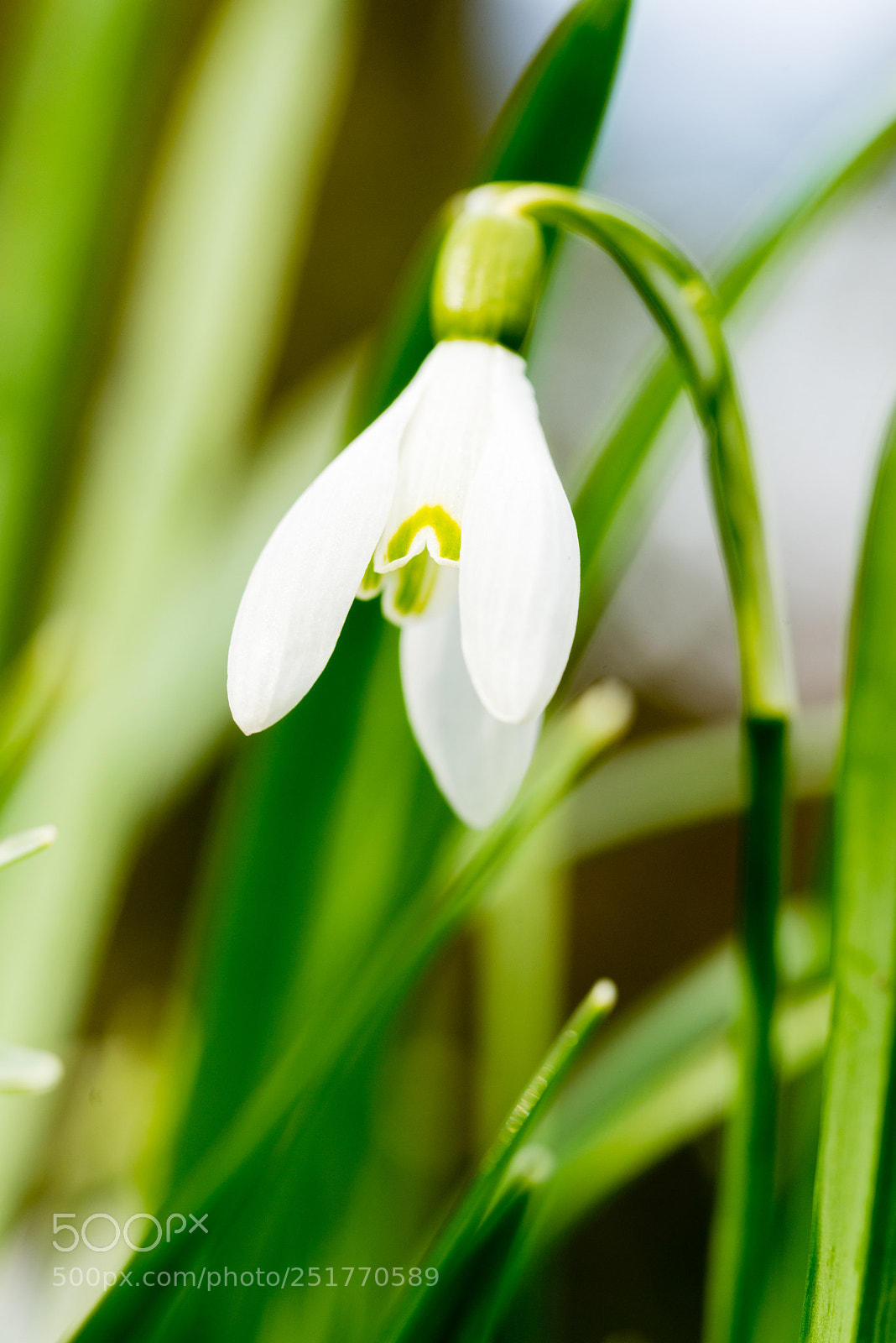 Nikon D610 sample photo. _dsc4633-2.jpg photography