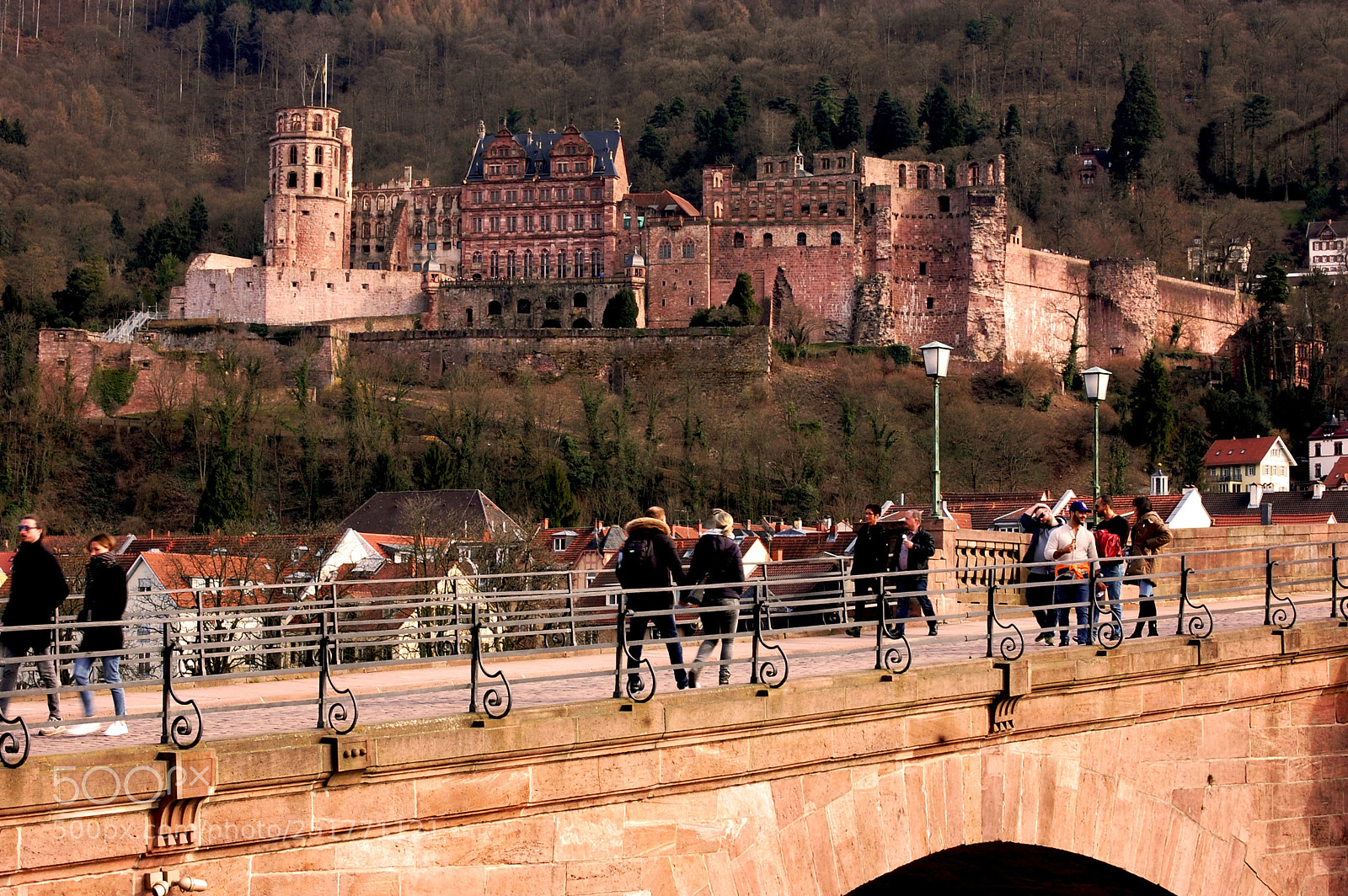 Nikon D40 sample photo. Castle of heidelberg photography
