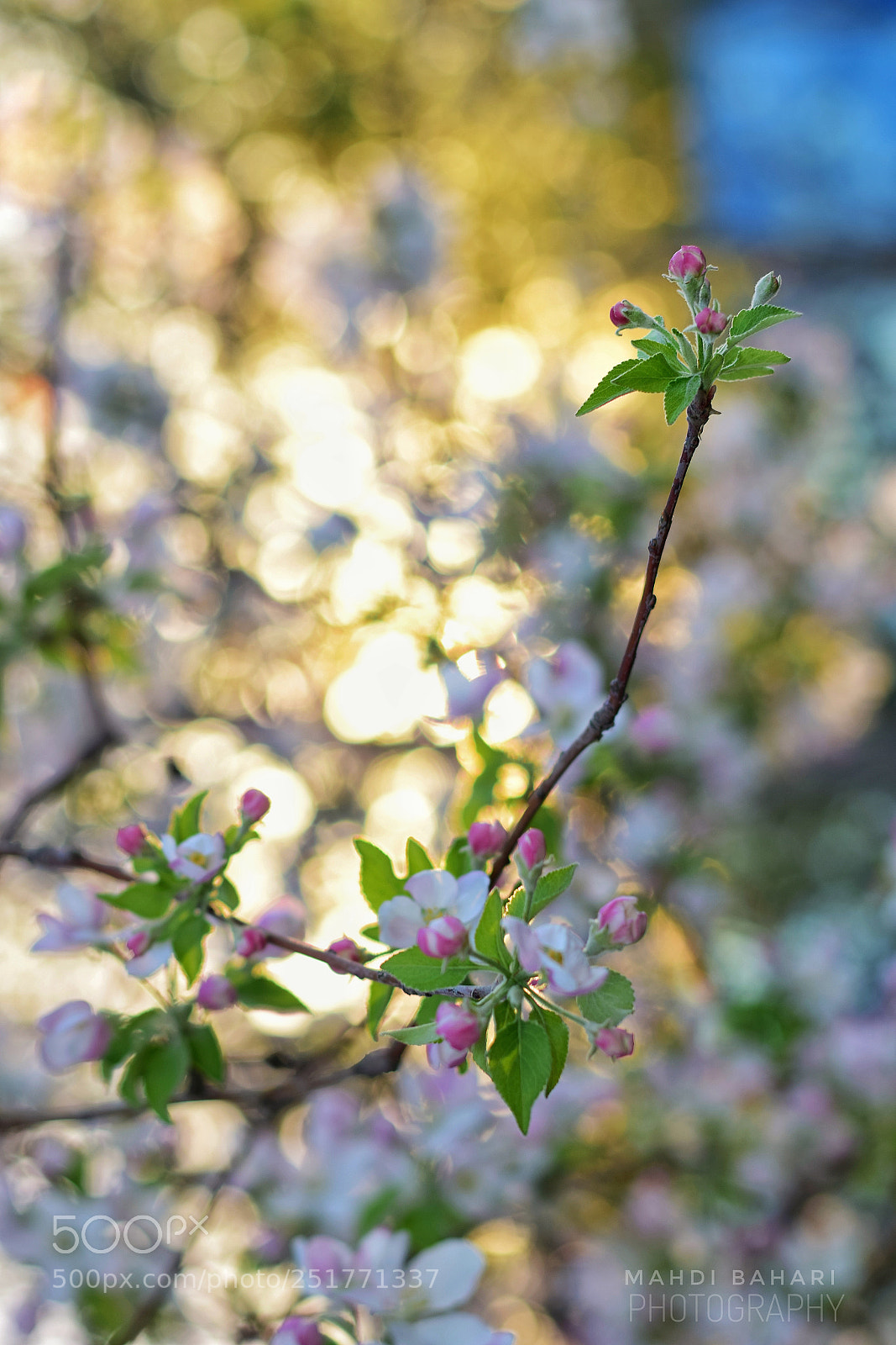 Nikon D5300 sample photo. Untitled photography