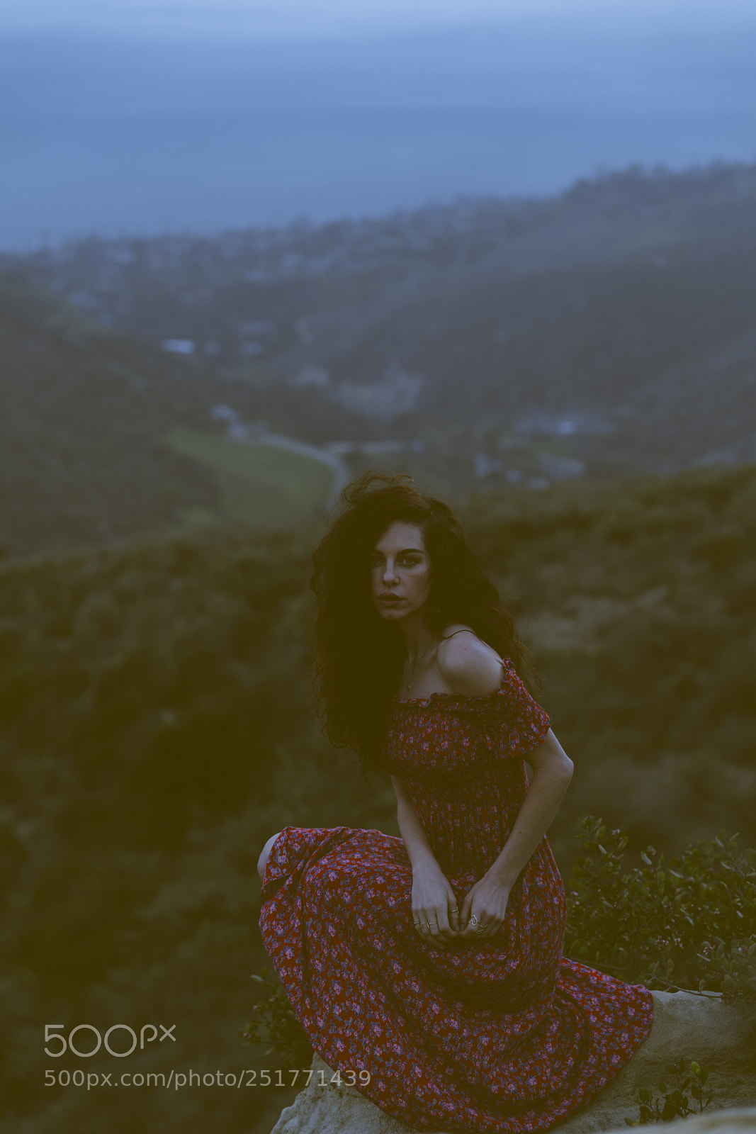 Sony a7R III sample photo. On top of the photography