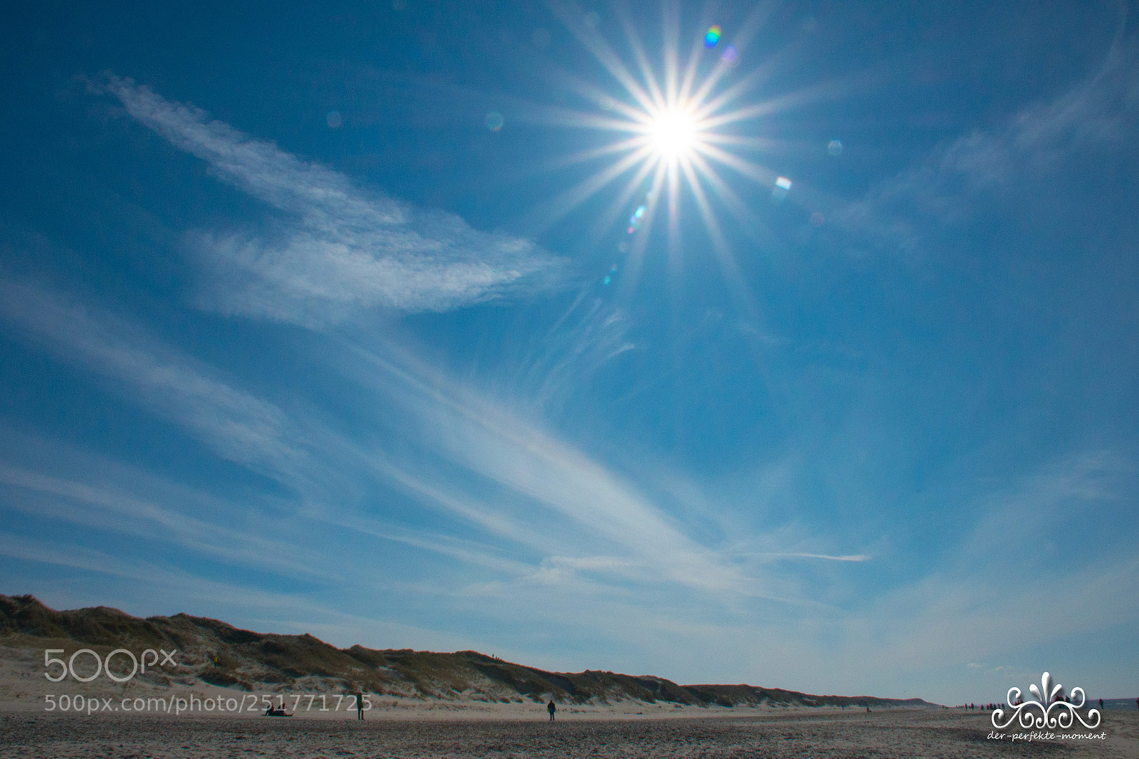 Nikon D800E sample photo. Untitled photography