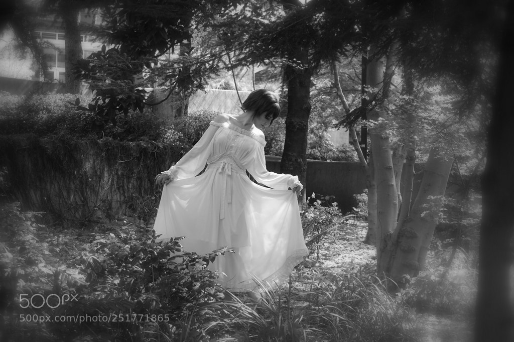 Sony Cyber-shot DSC-RX10 sample photo. Forest fantasy photography