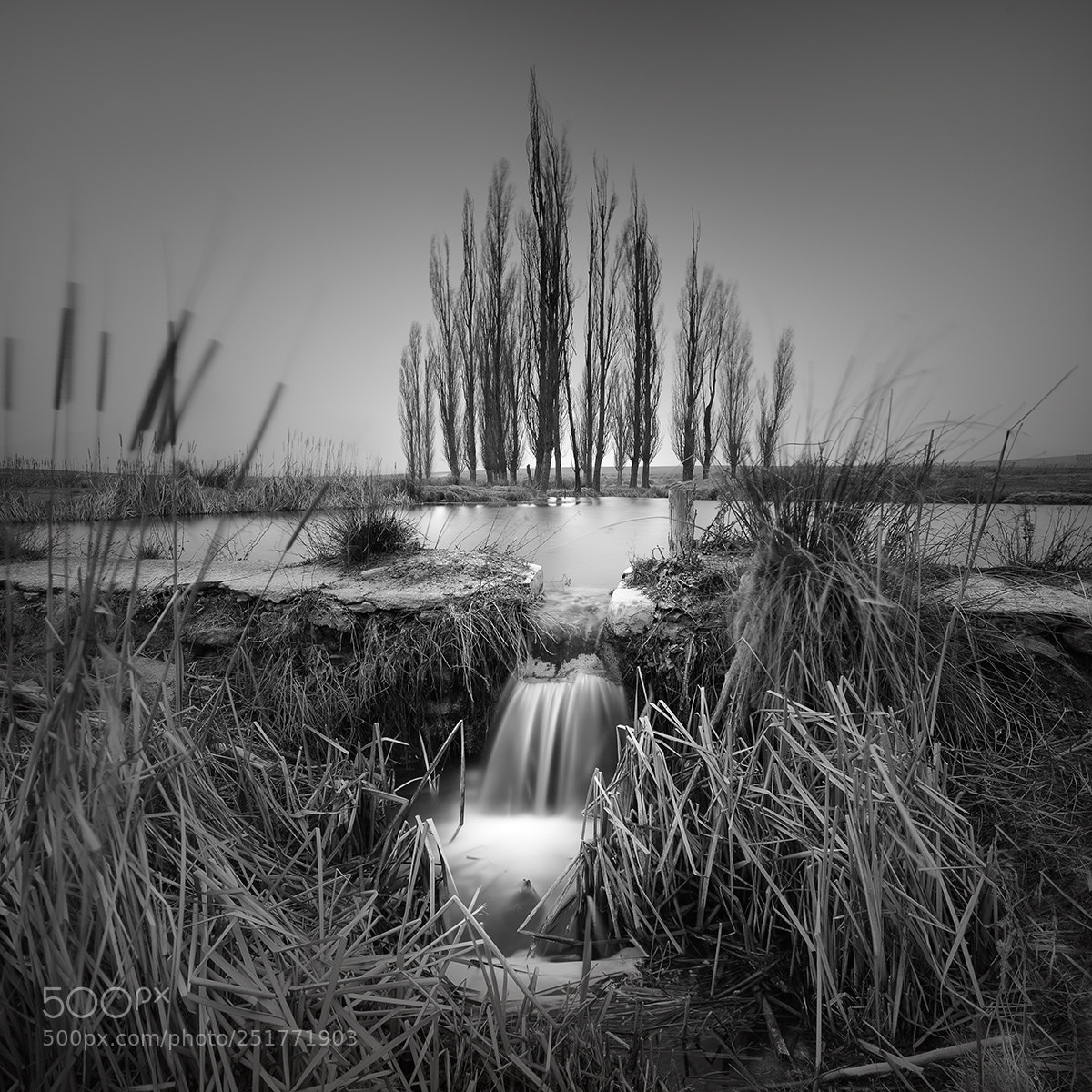 Nikon D800 sample photo. Untitled photography