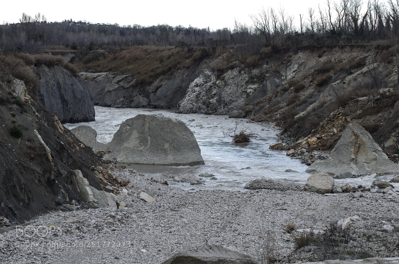 Pentax K-5 sample photo. Untitled photography