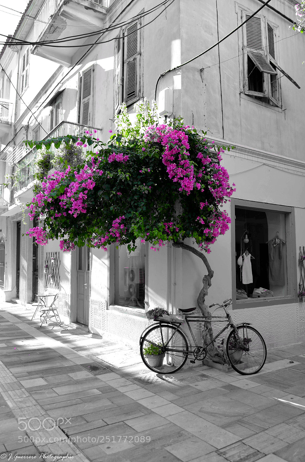 Nikon D5100 sample photo. Untitled photography
