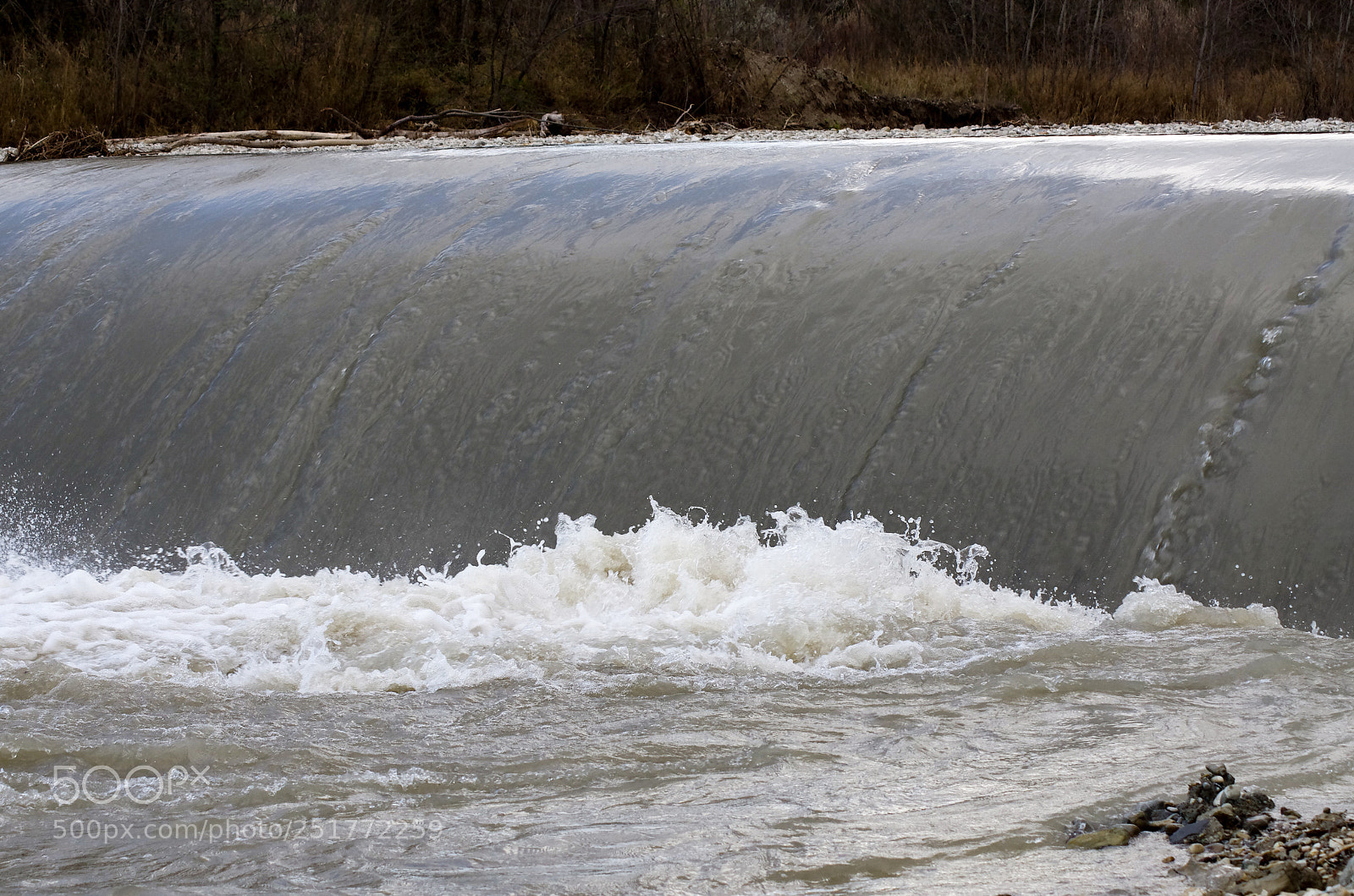 Pentax K-5 sample photo. Untitled photography