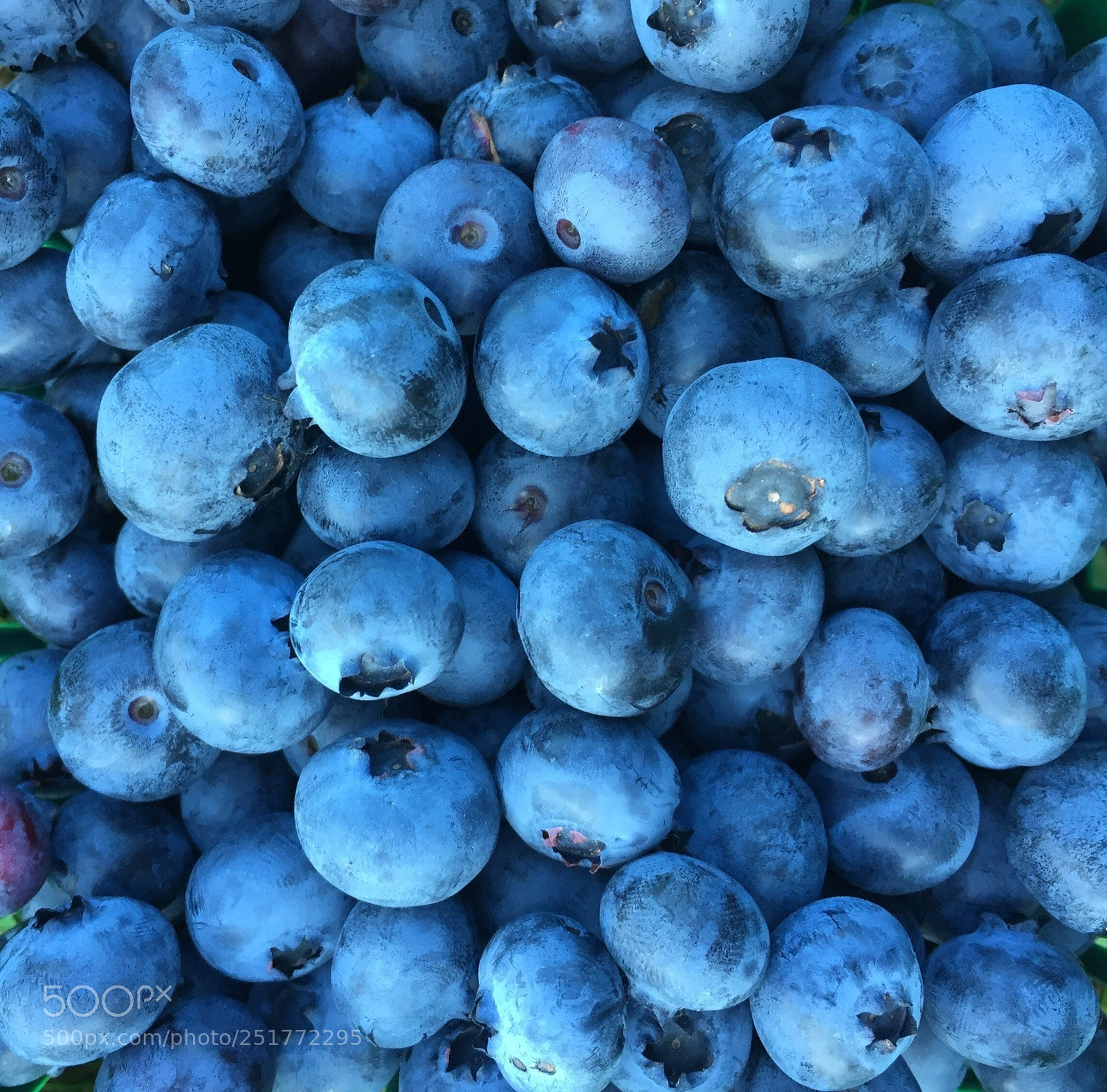 Apple iPhone 6 sample photo. A maine way photography