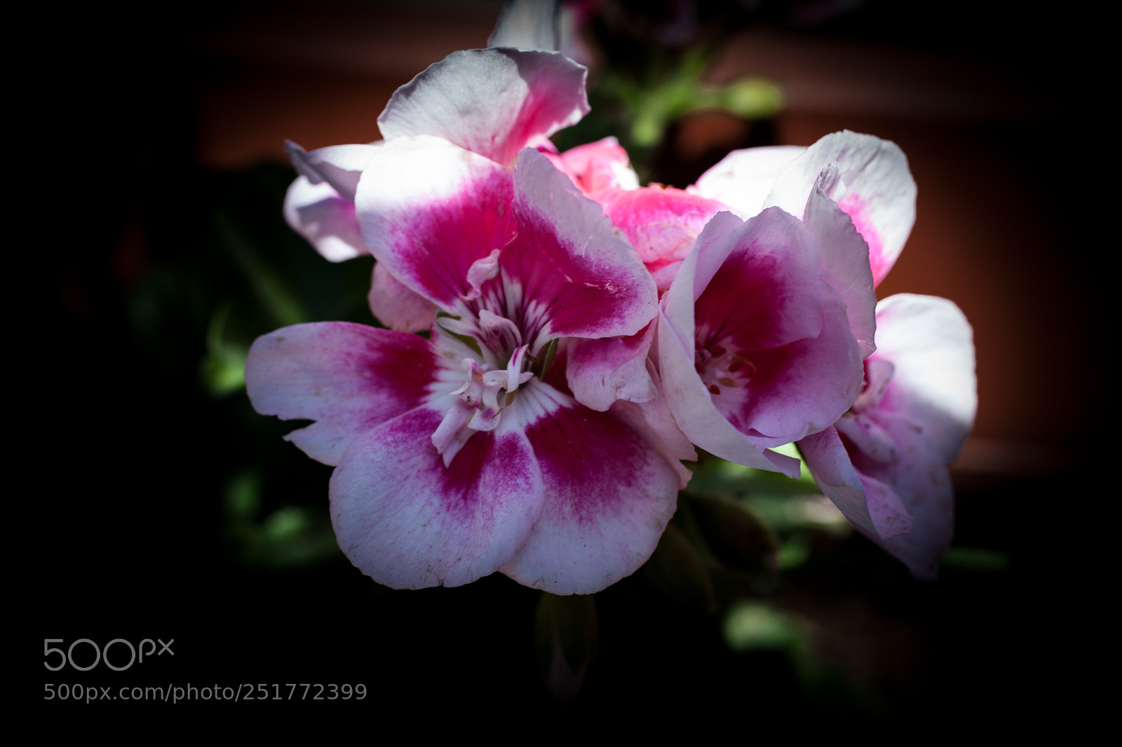 Canon EOS 5D Mark II sample photo. Calm photography