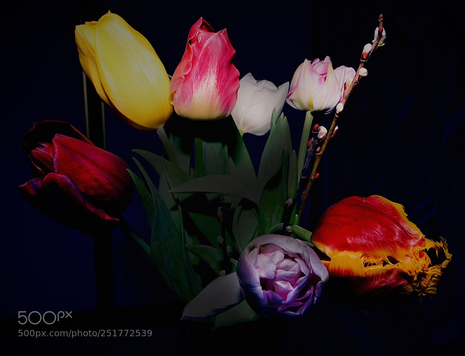 Nikon D7100 sample photo. Untitled photography