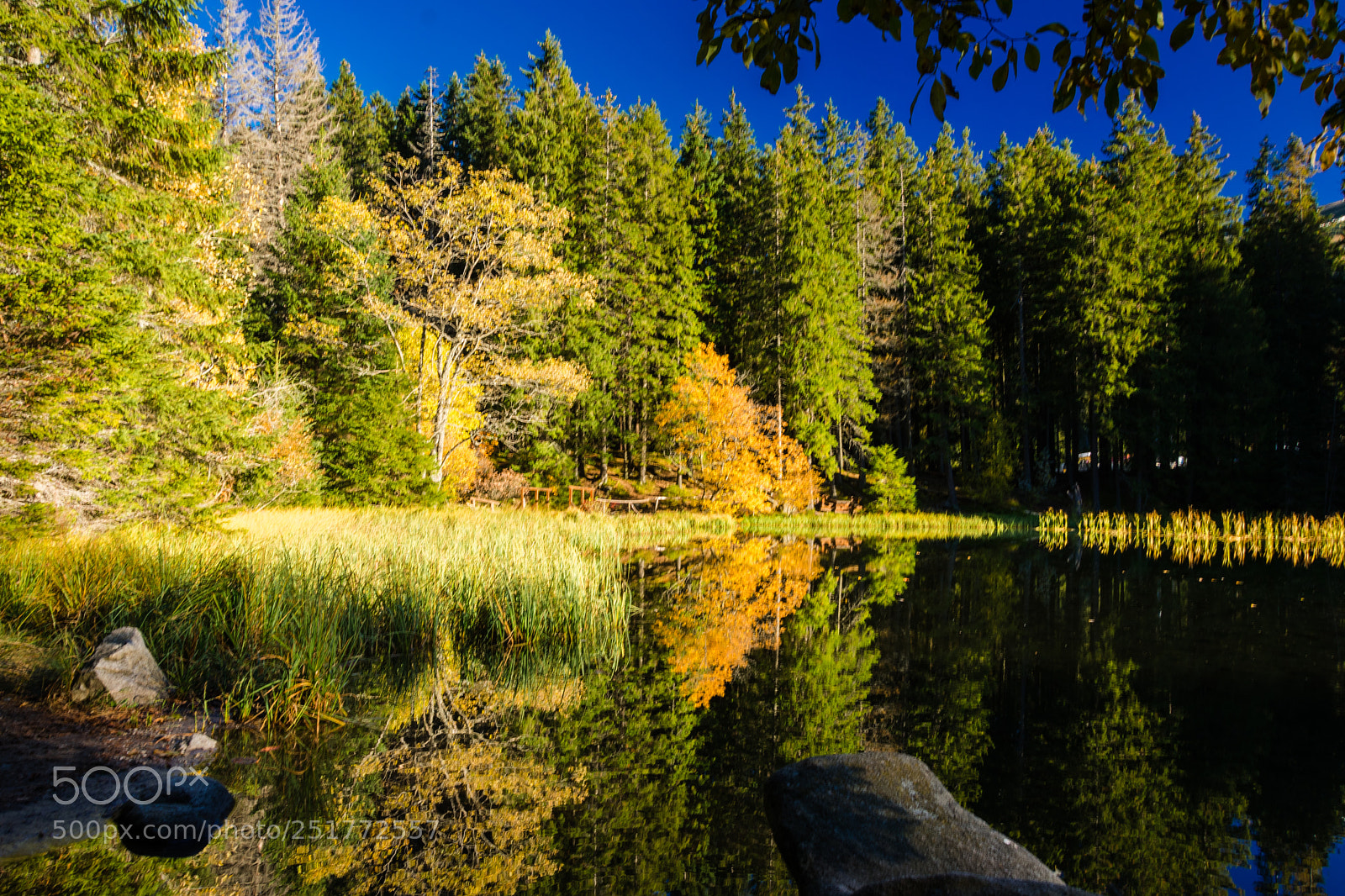 Nikon D3400 sample photo. Lake vrbicke photography