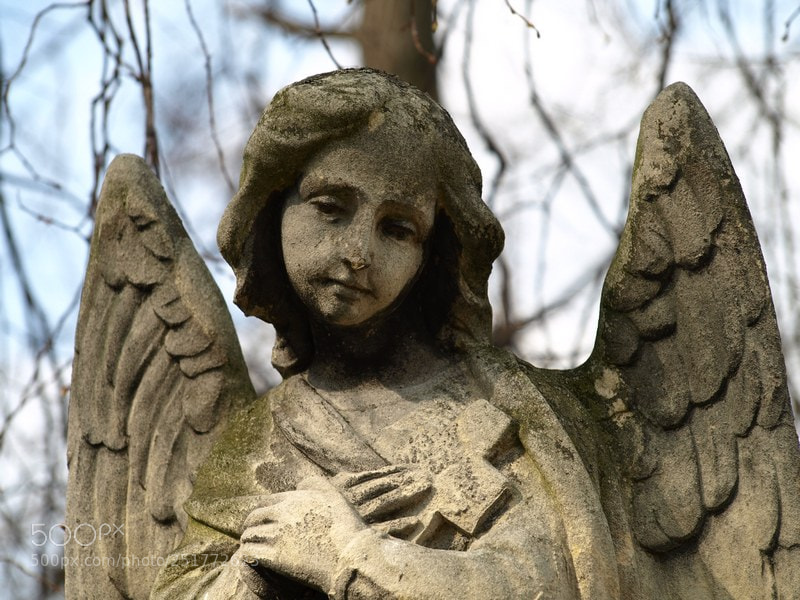 Olympus E-510 (EVOLT E-510) sample photo. Angel photography