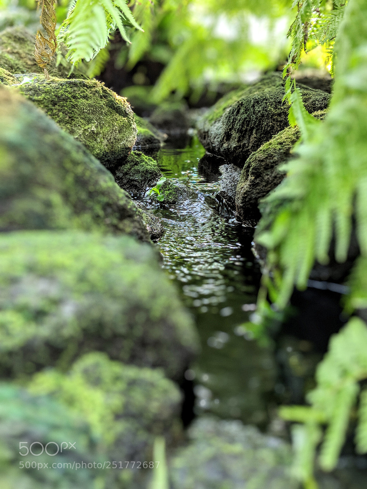Google Pixel 2 XL sample photo. River haven photography