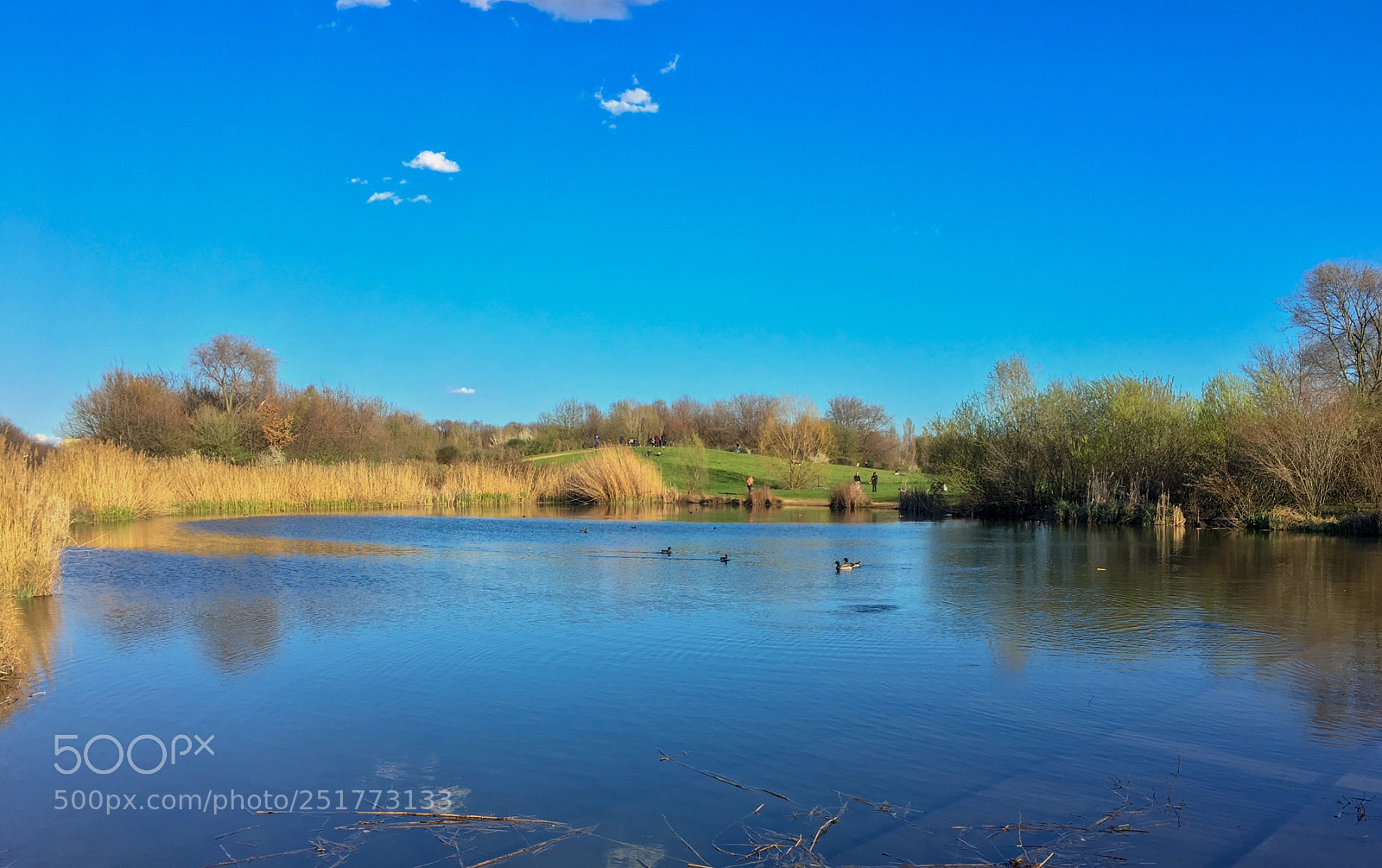 Apple iPhone 6s Plus sample photo. Laghetto del parco nord photography