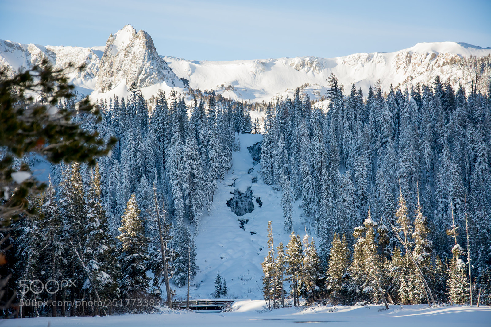 Nikon D7100 sample photo. Bluebird day photography