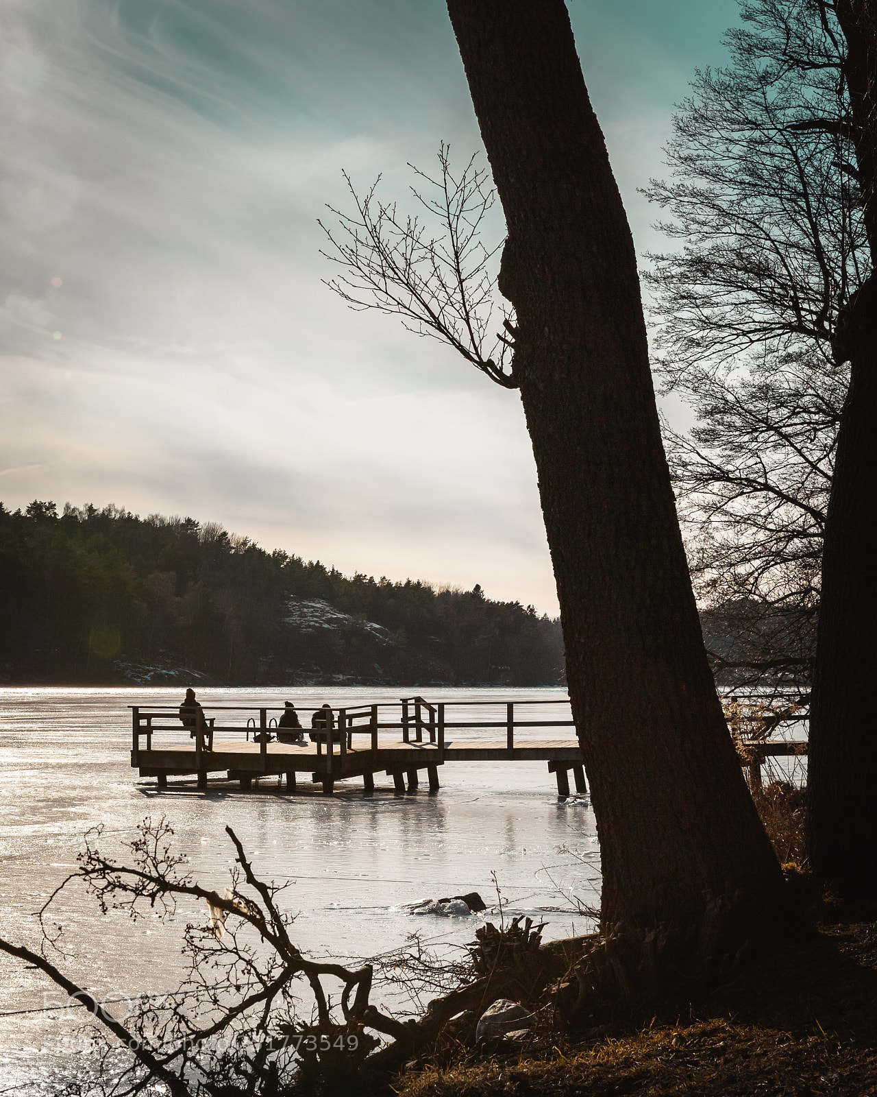 Canon EOS 6D Mark II sample photo. Frozen photography