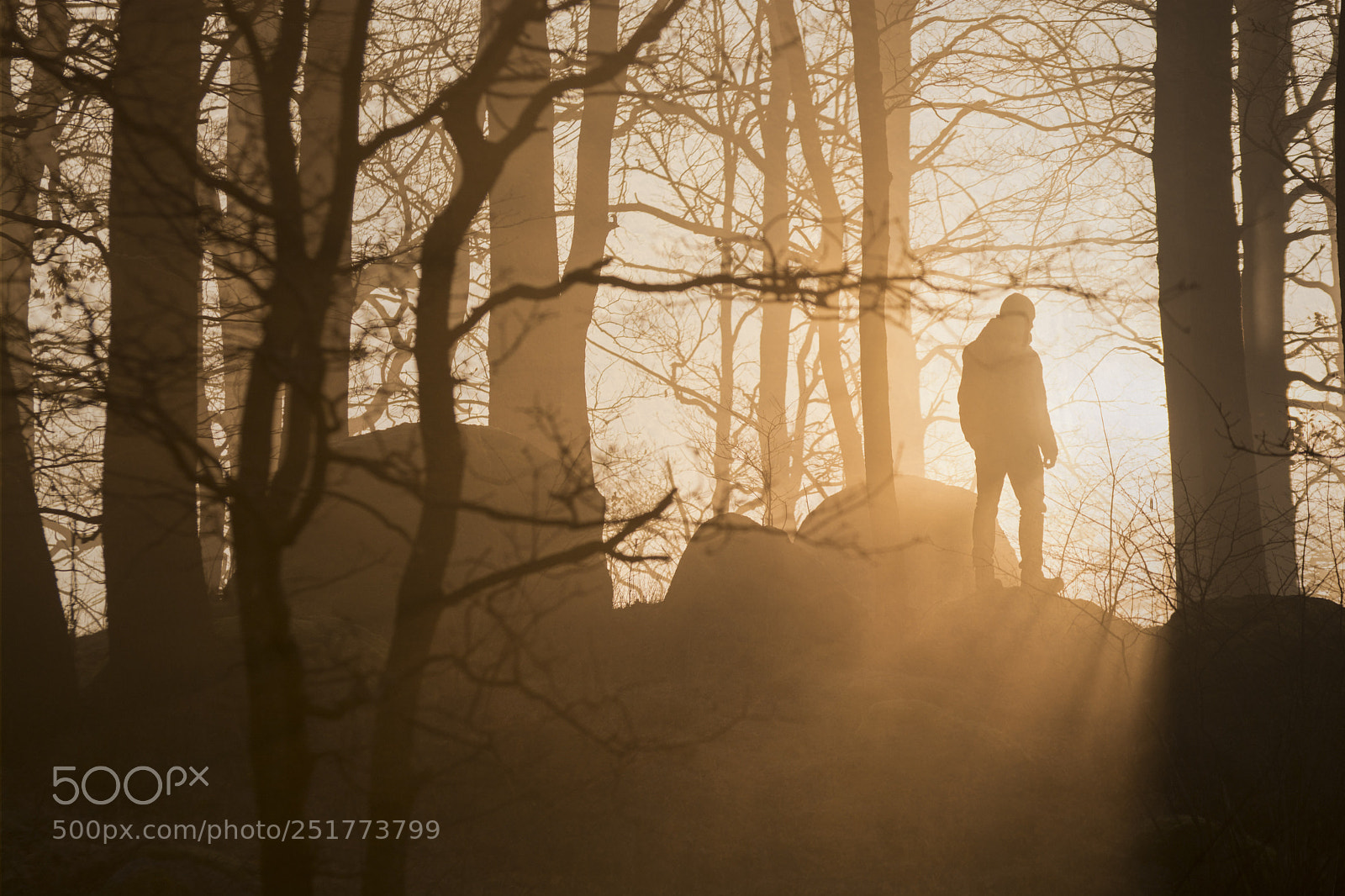 Nikon D7100 sample photo. Spark of light photography