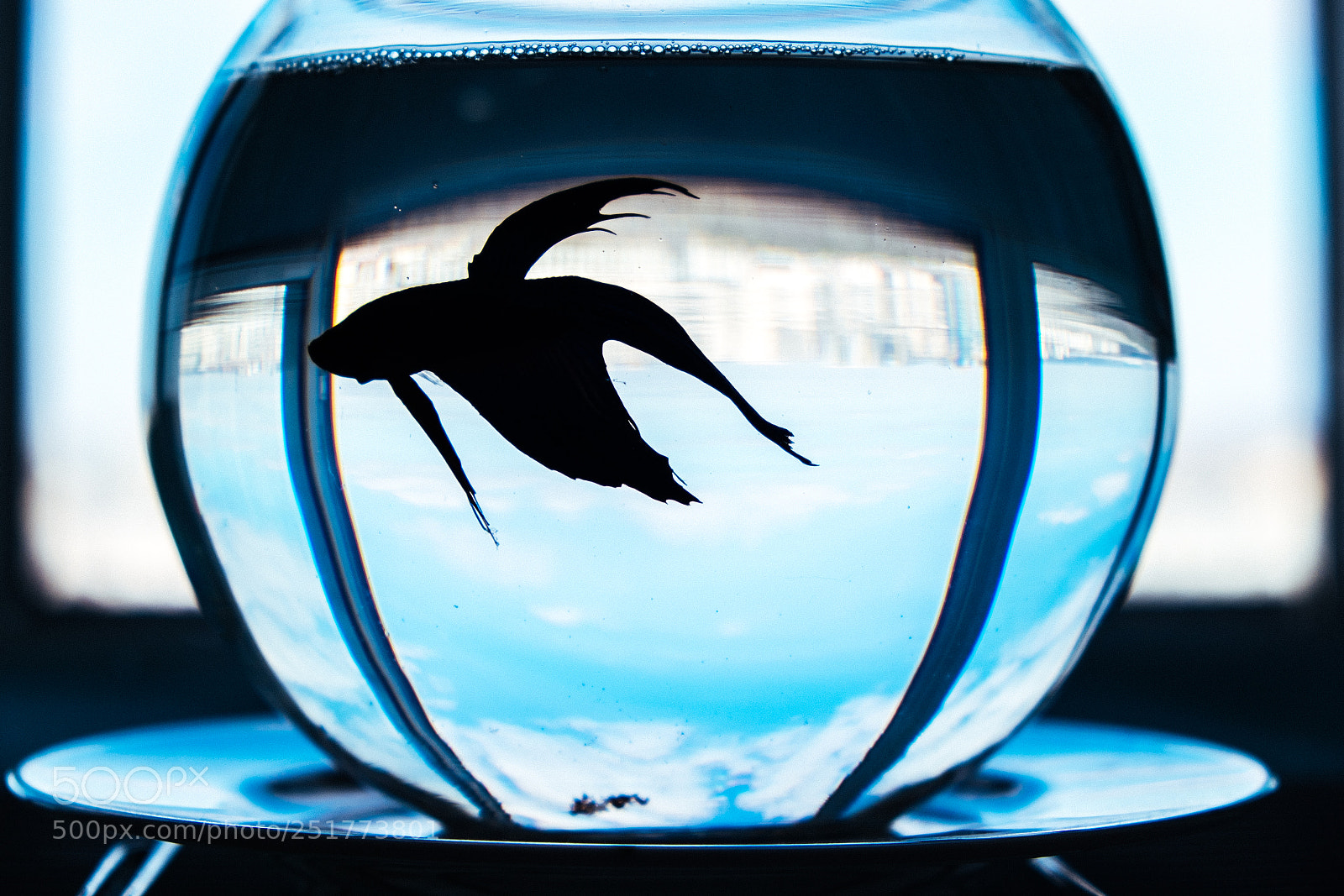 Fujifilm X-T1 sample photo. George photography