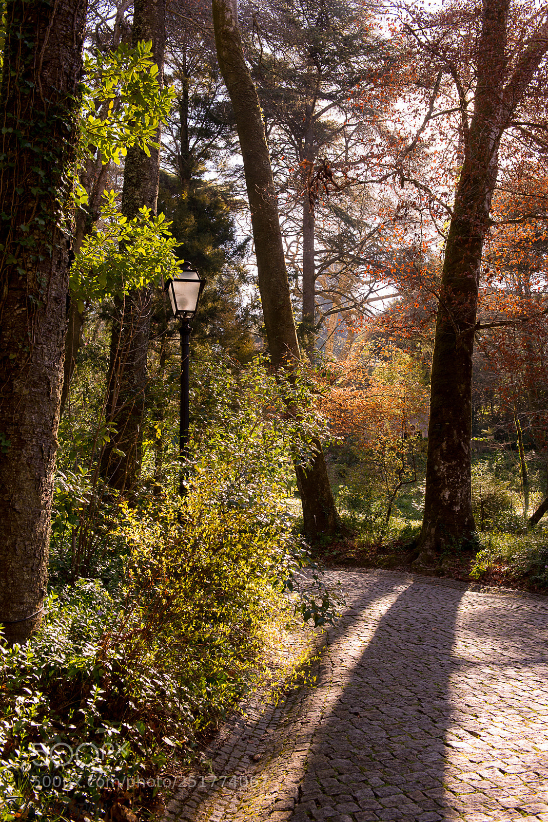 Nikon D610 sample photo. Sintra é magia... photography