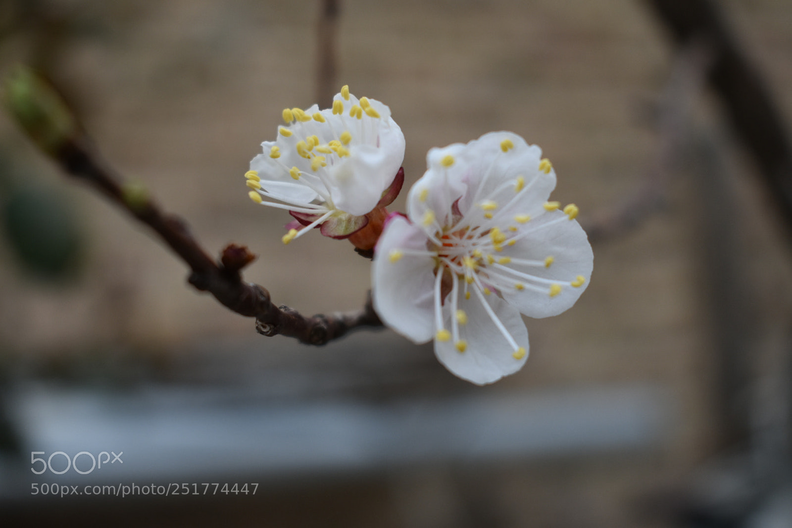 Nikon D3400 sample photo. Untitled photography