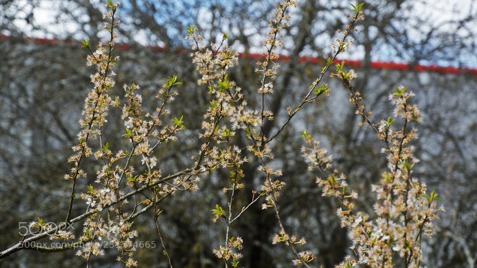 Nikon D3200 sample photo. Untitled photography
