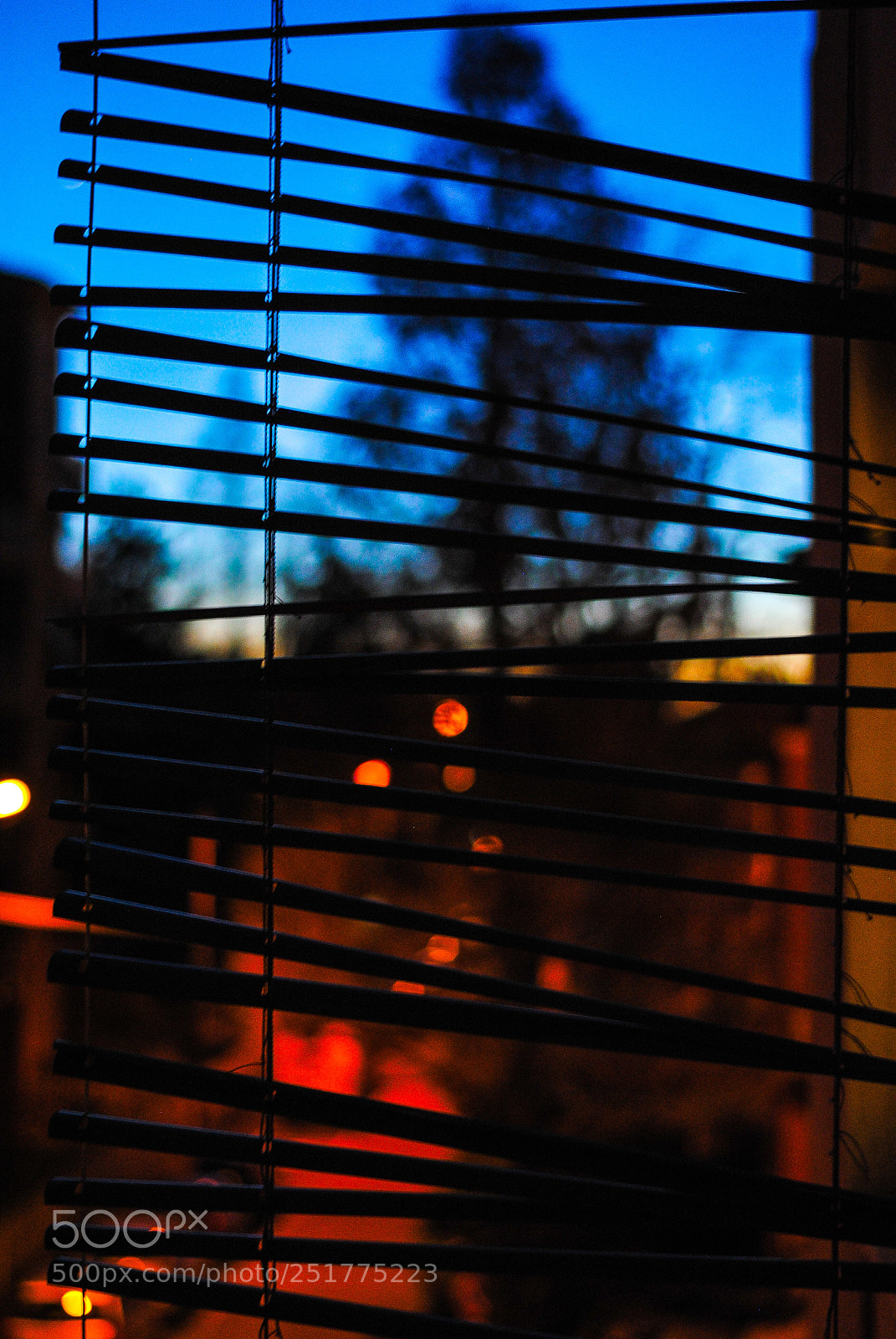 Nikon D3000 sample photo. Cut sunset photography